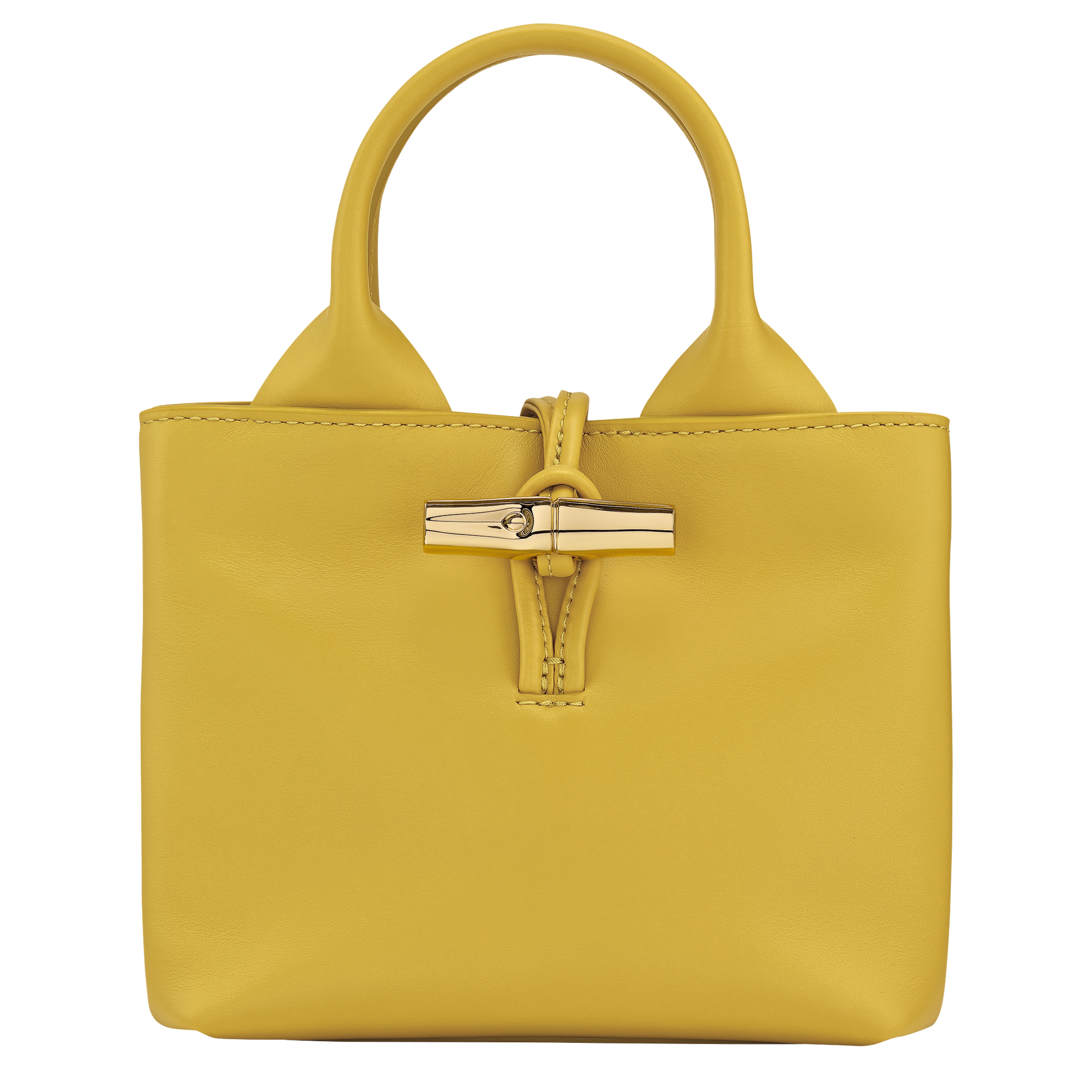 Le Roseau XS Handbag Ginger - Leather