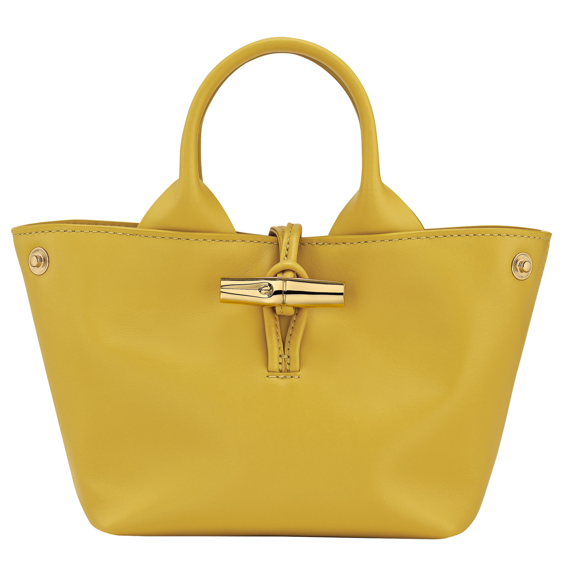 Le Roseau XS Handbag Ginger - Leather