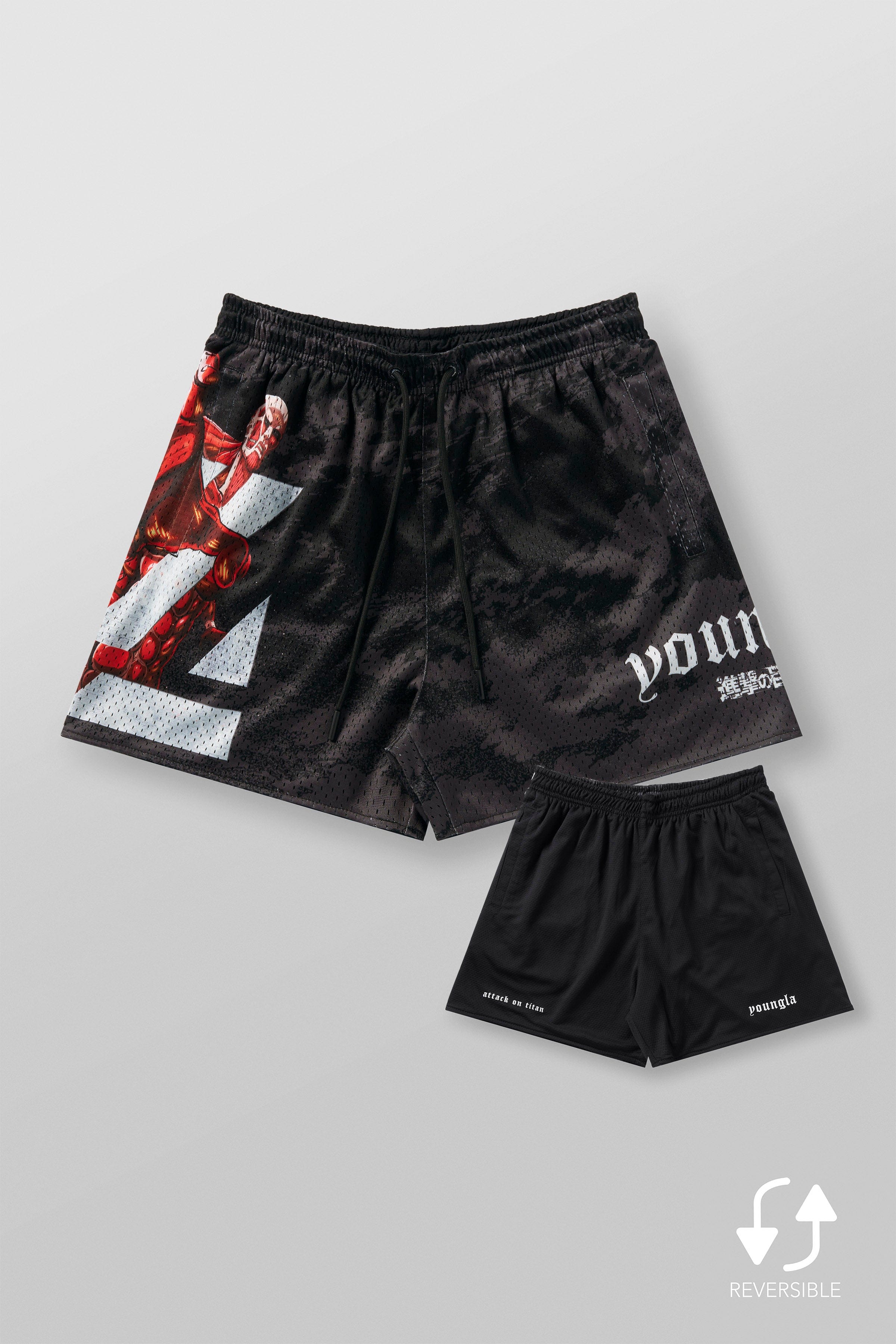 1126 - AOT© x YLA Mesh Shorts