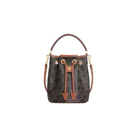 Celine Teen Clara Bag in Triomphe Canvas and Calfskin