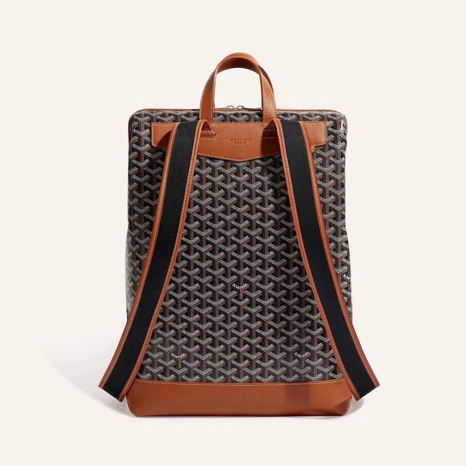 Cisalpin Backpack