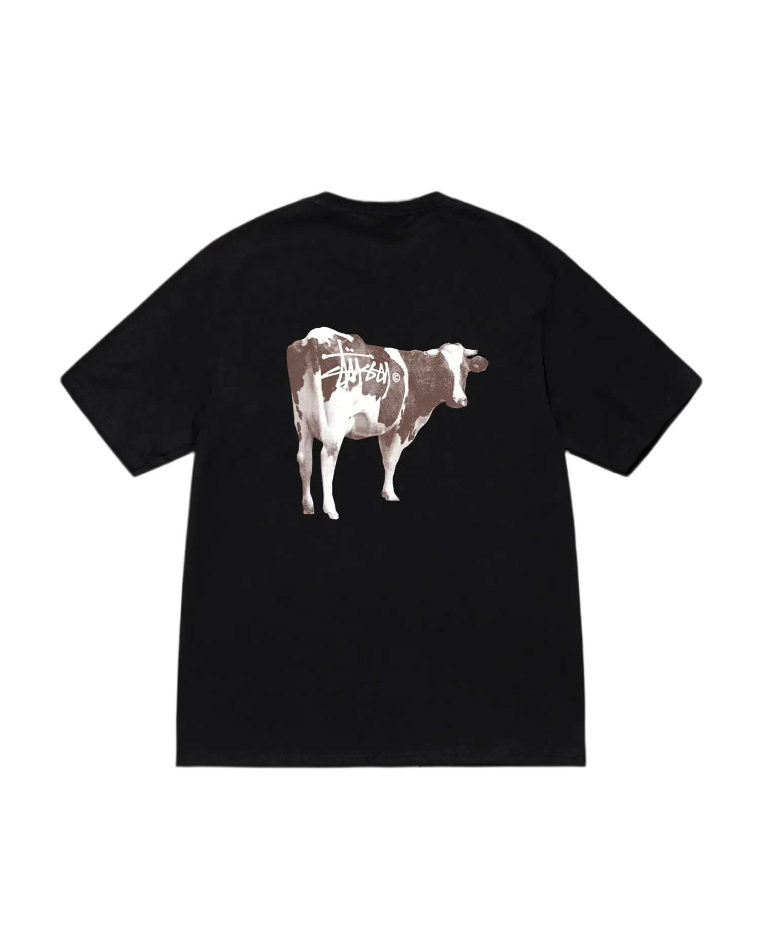 Stussy Grassfed Tee