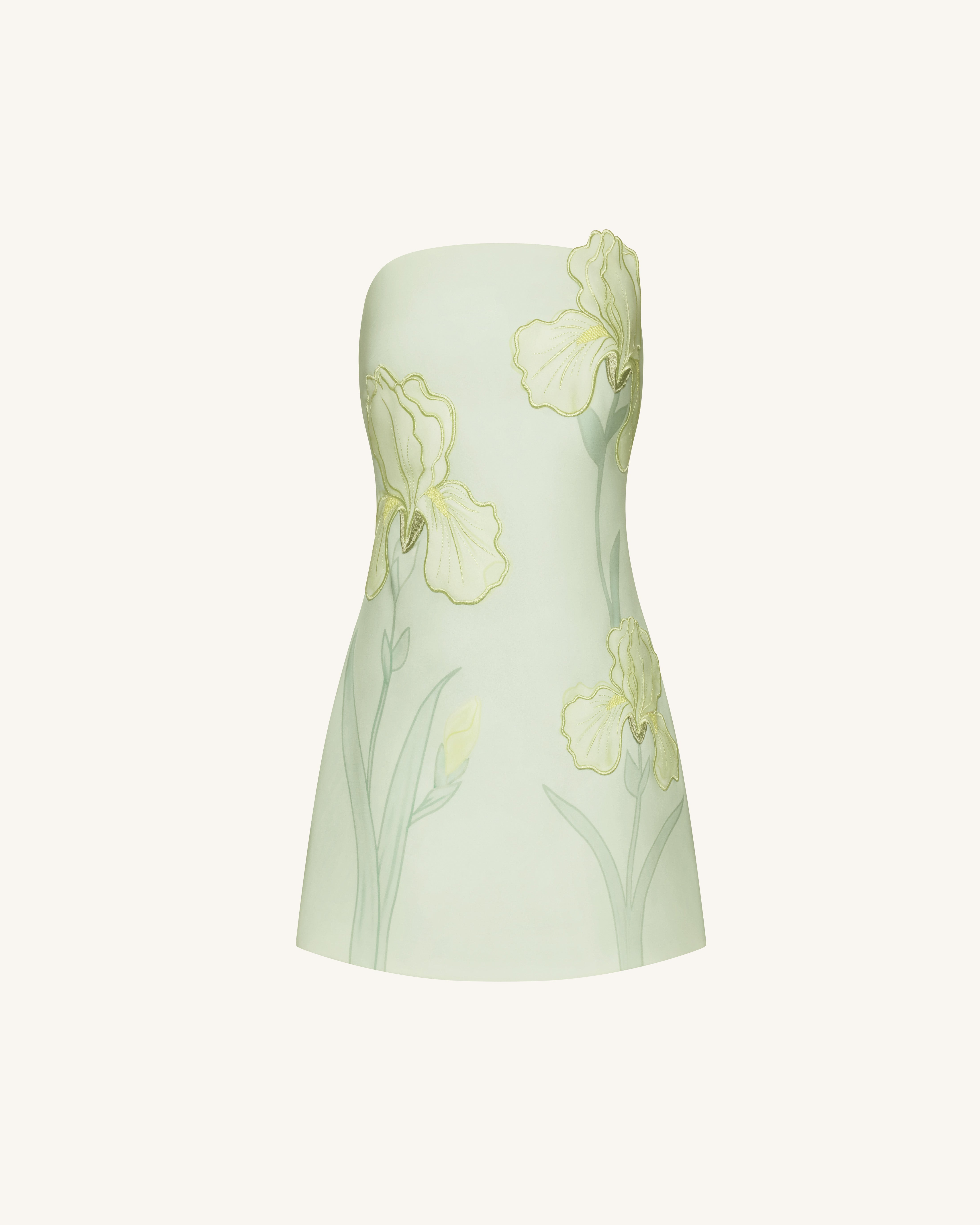 Iris Floral Print Strapless Dress - Green