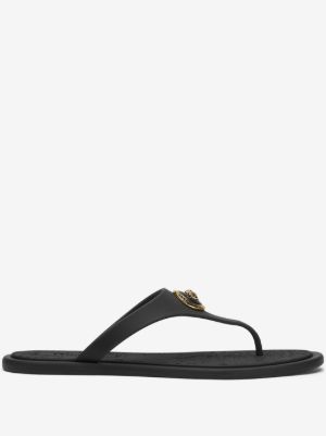 Alia medusa slides
