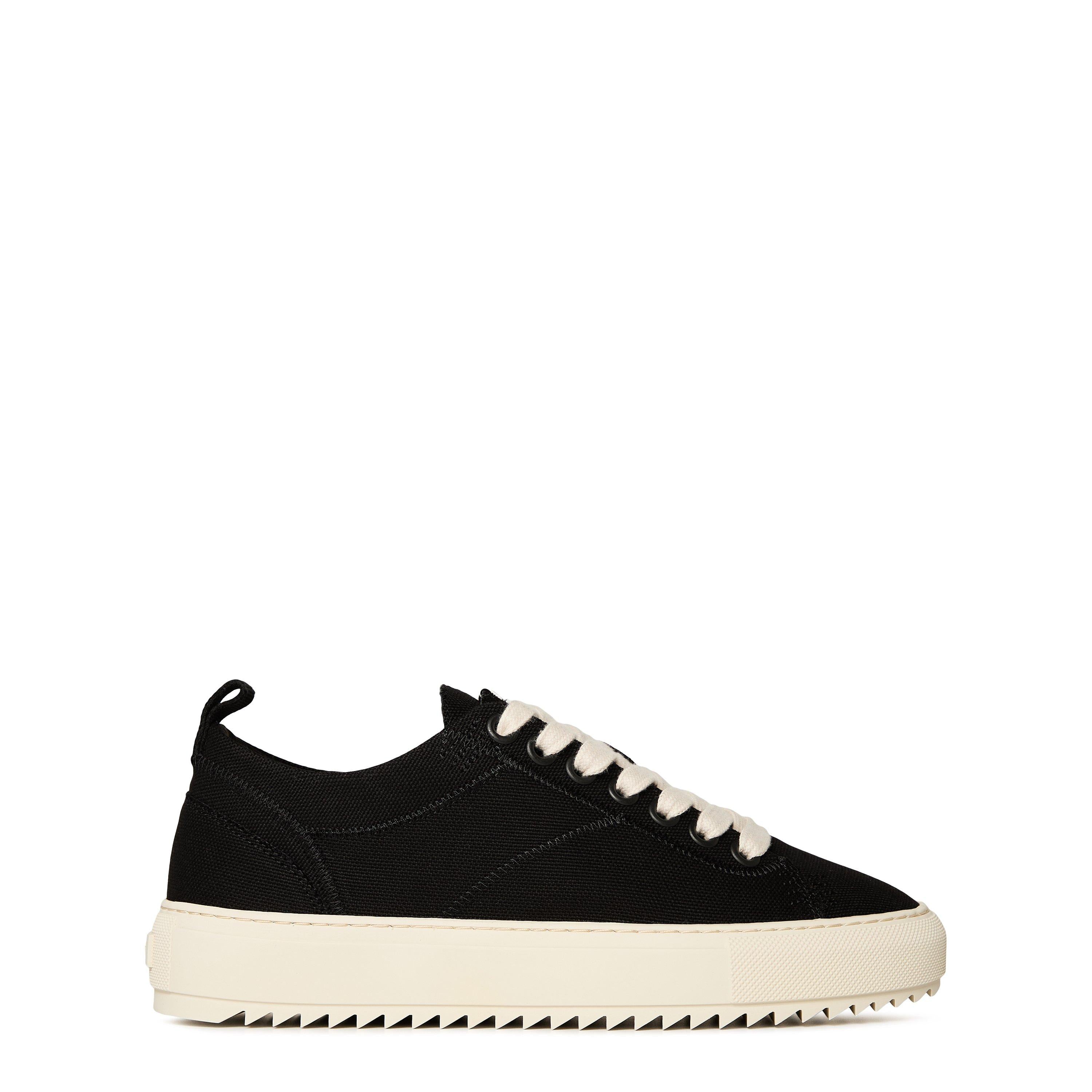 Men's New Alpha Low Lightweight Black Canvas Trainers
