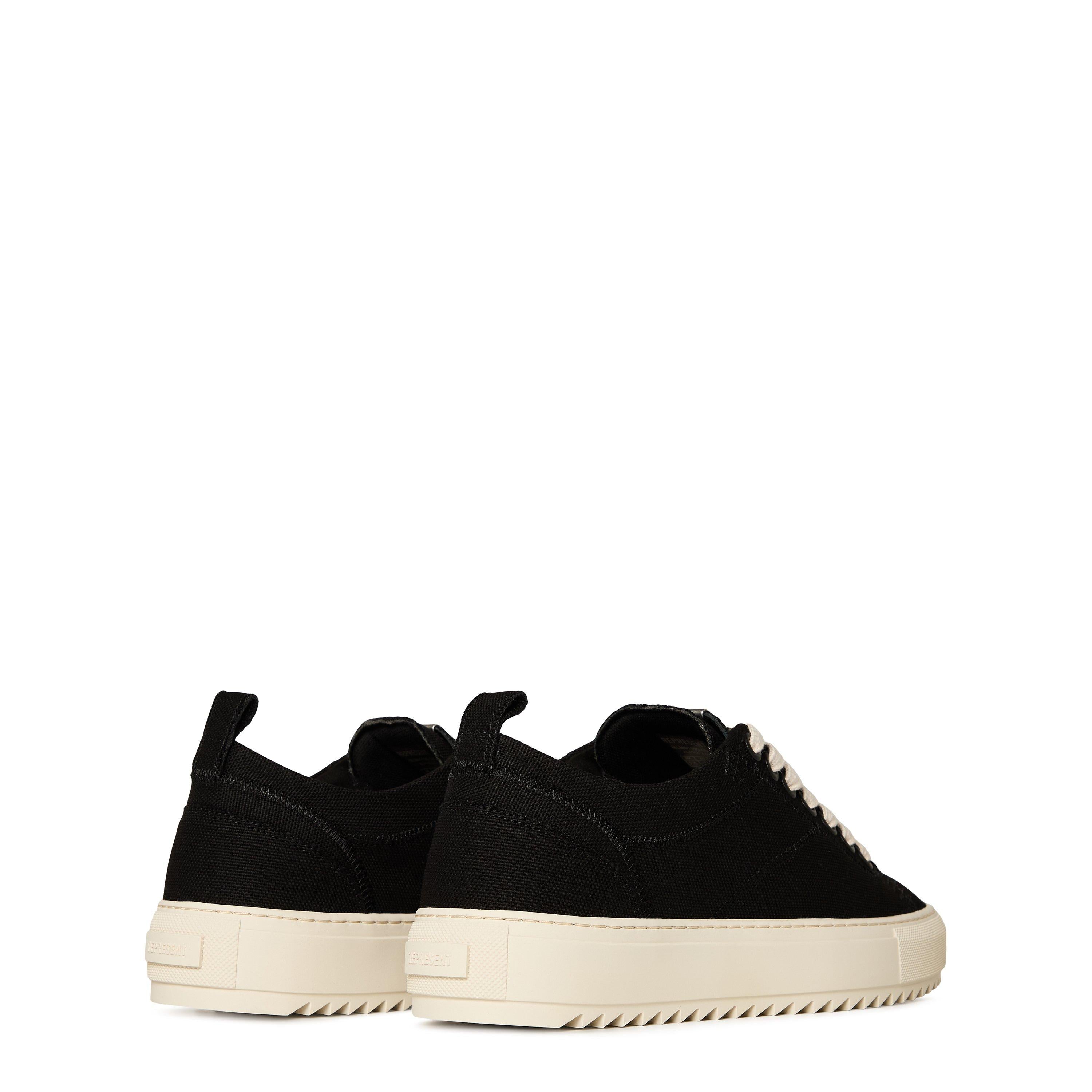 Men's New Alpha Low Lightweight Black Canvas Trainers