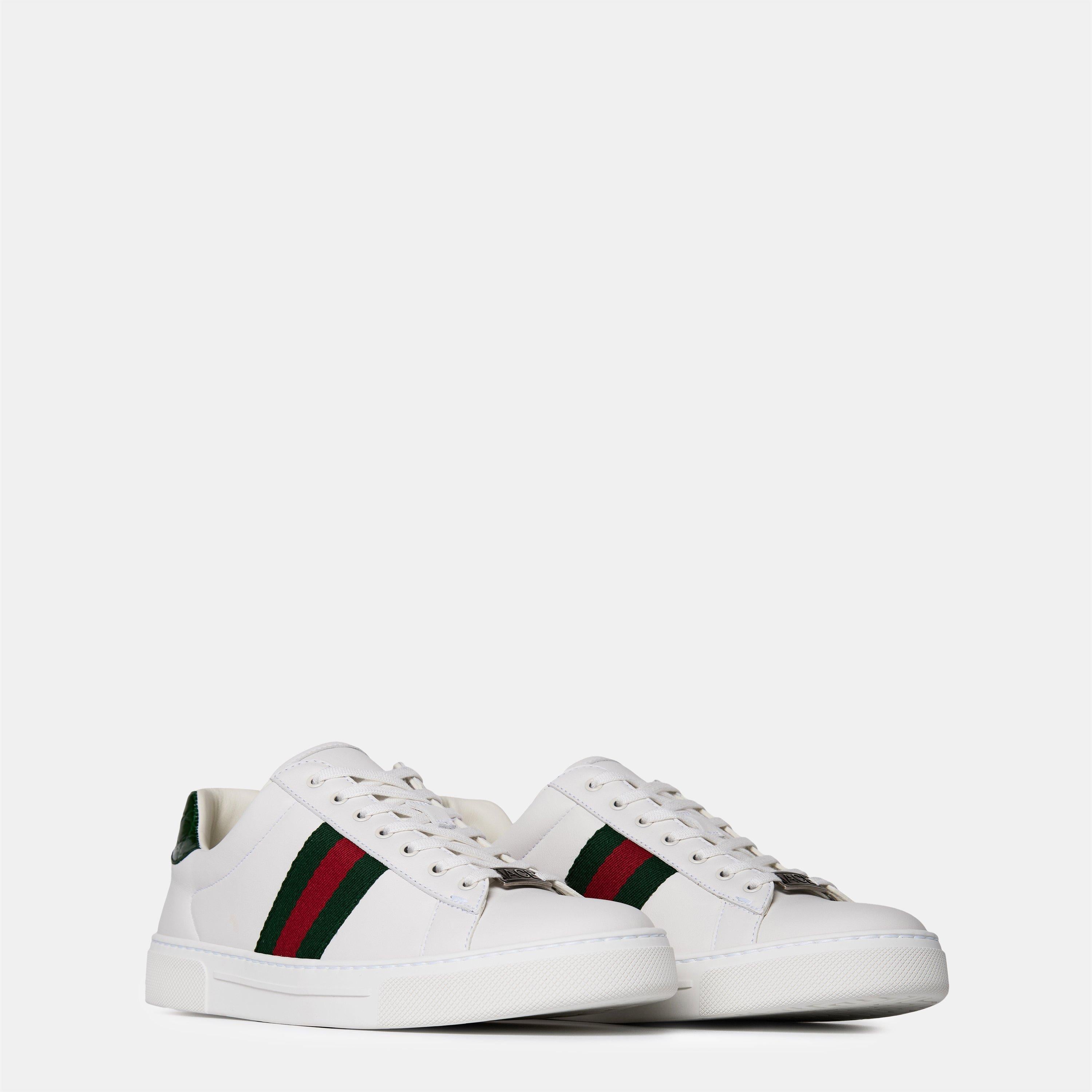 Ace Web Canvas Trainers
