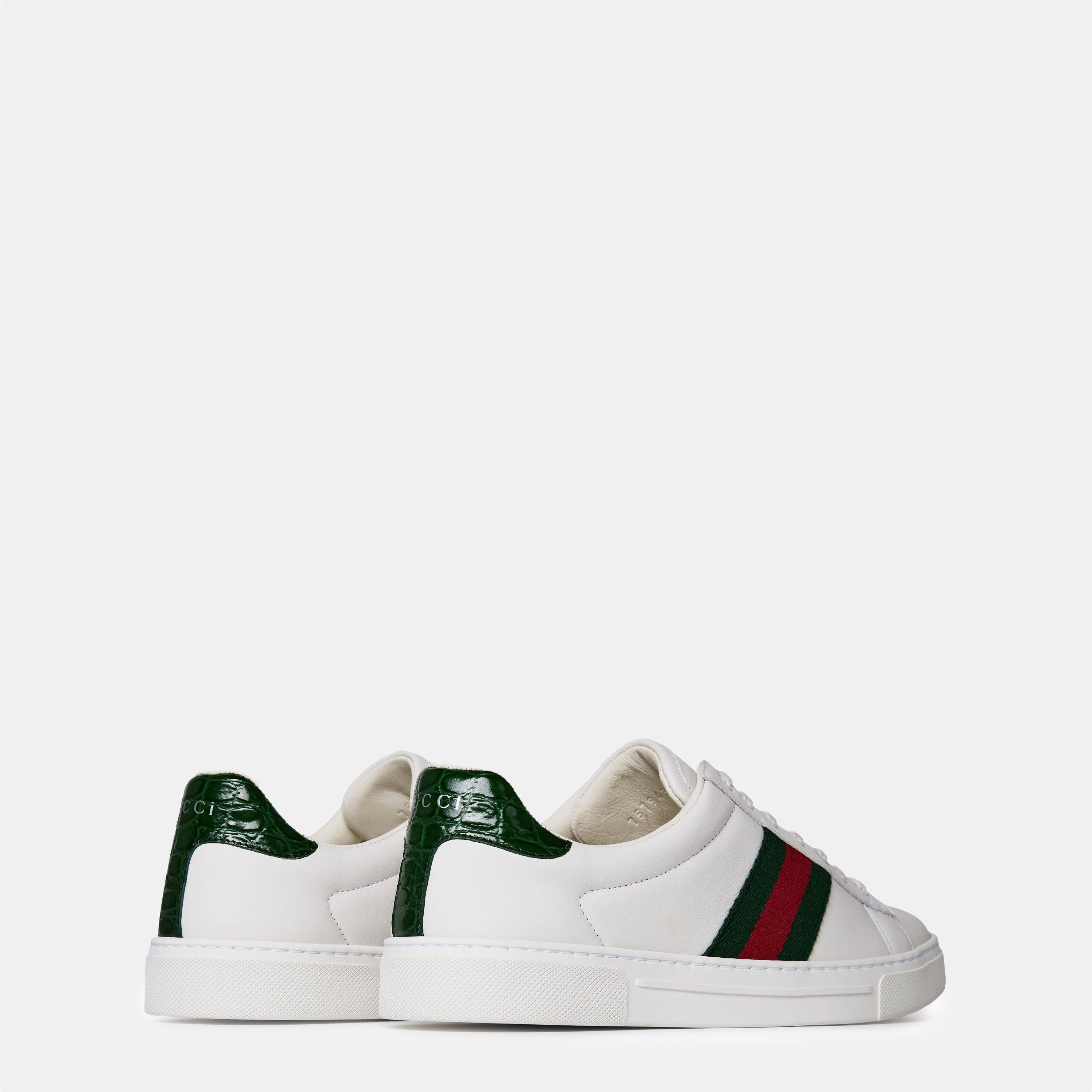 Ace Web Canvas Trainers