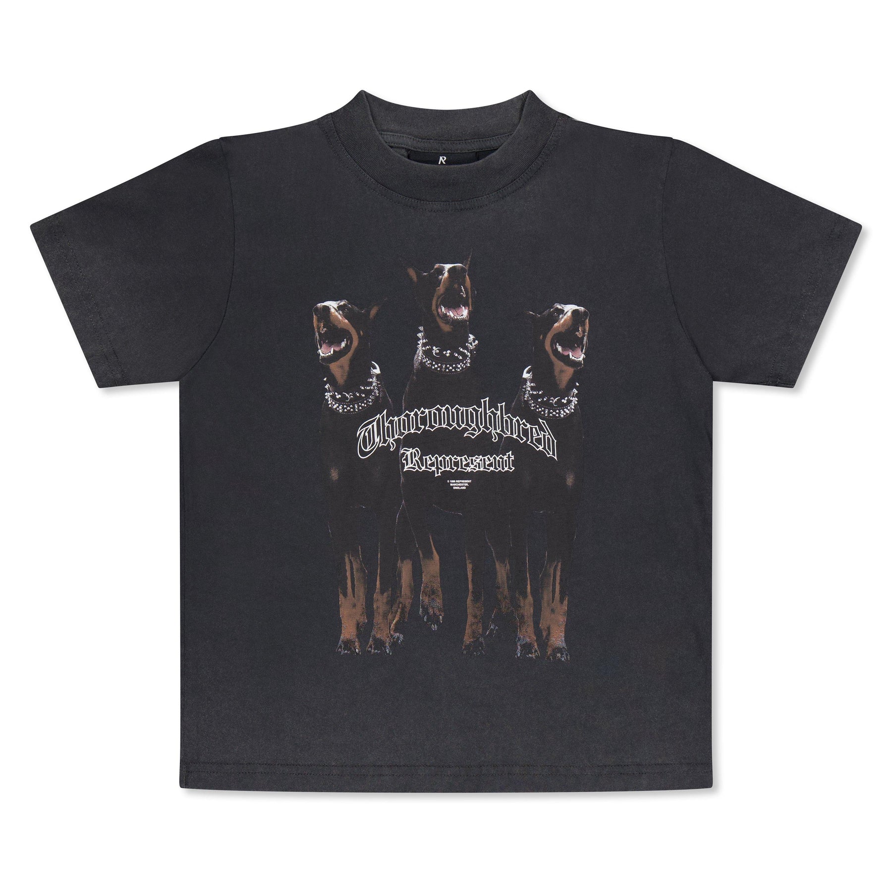 Infants' Graphic Cotton Thoroughbred T-Shirt