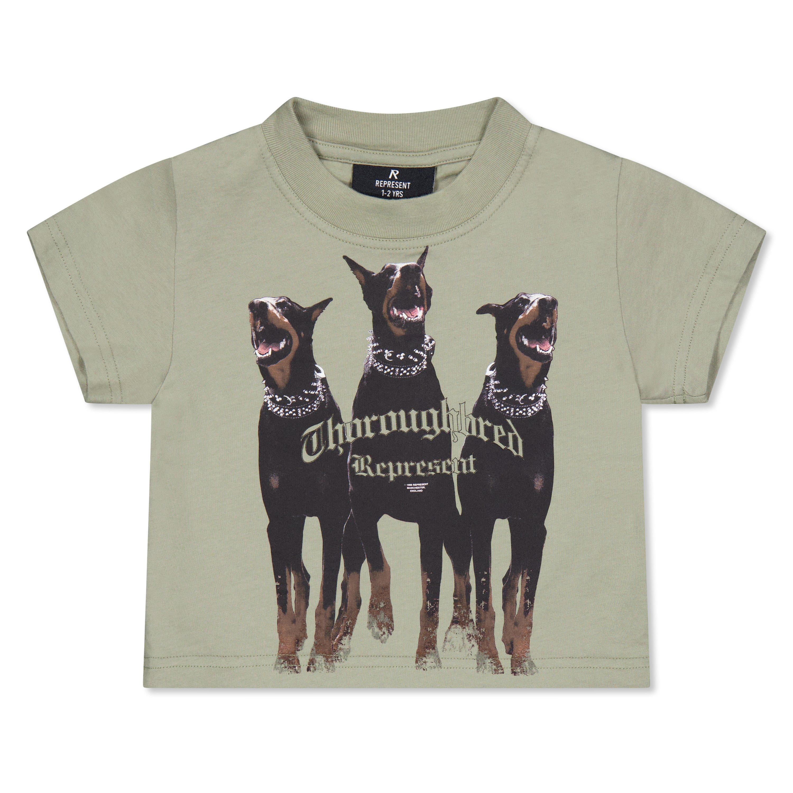 Infants' Graphic Cotton Thoroughbred T-Shirt