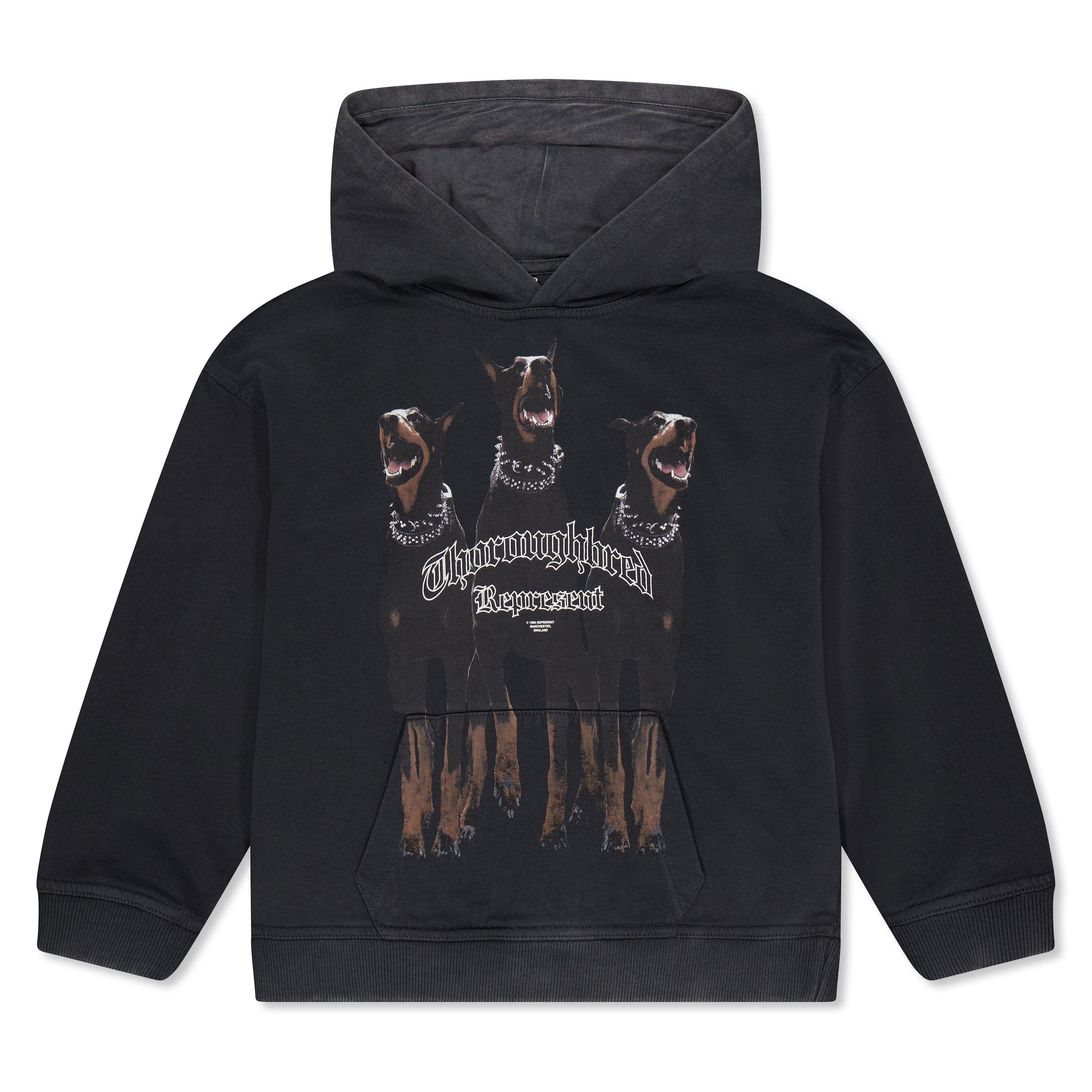 Infants' Graphic Cotton Thoroughbred Hoodie
