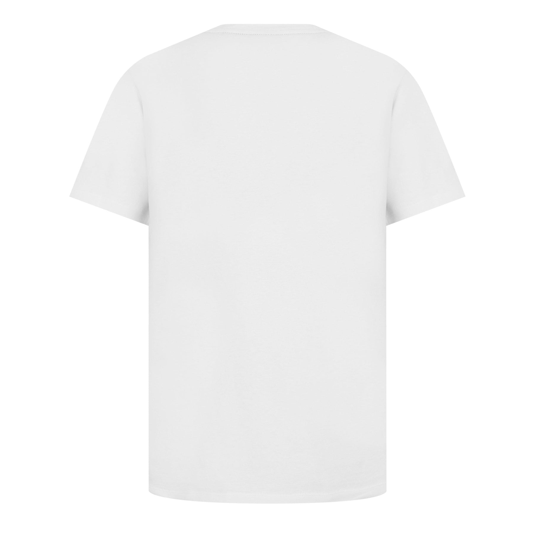 Men's Regular Fit Tales T-Shirt