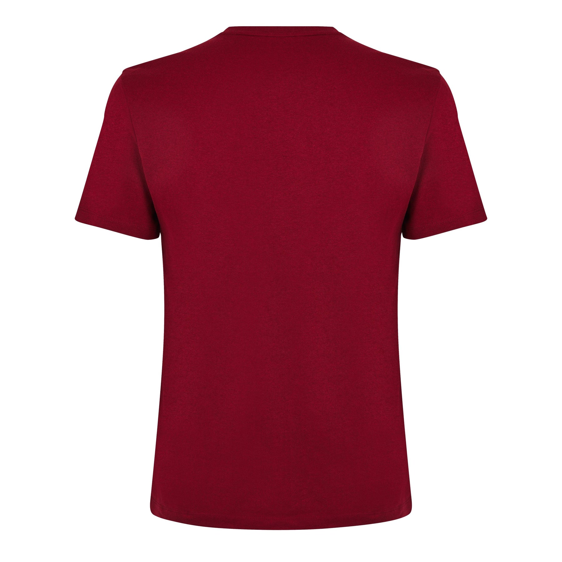 Men's Regular Fit Tales T-Shirt