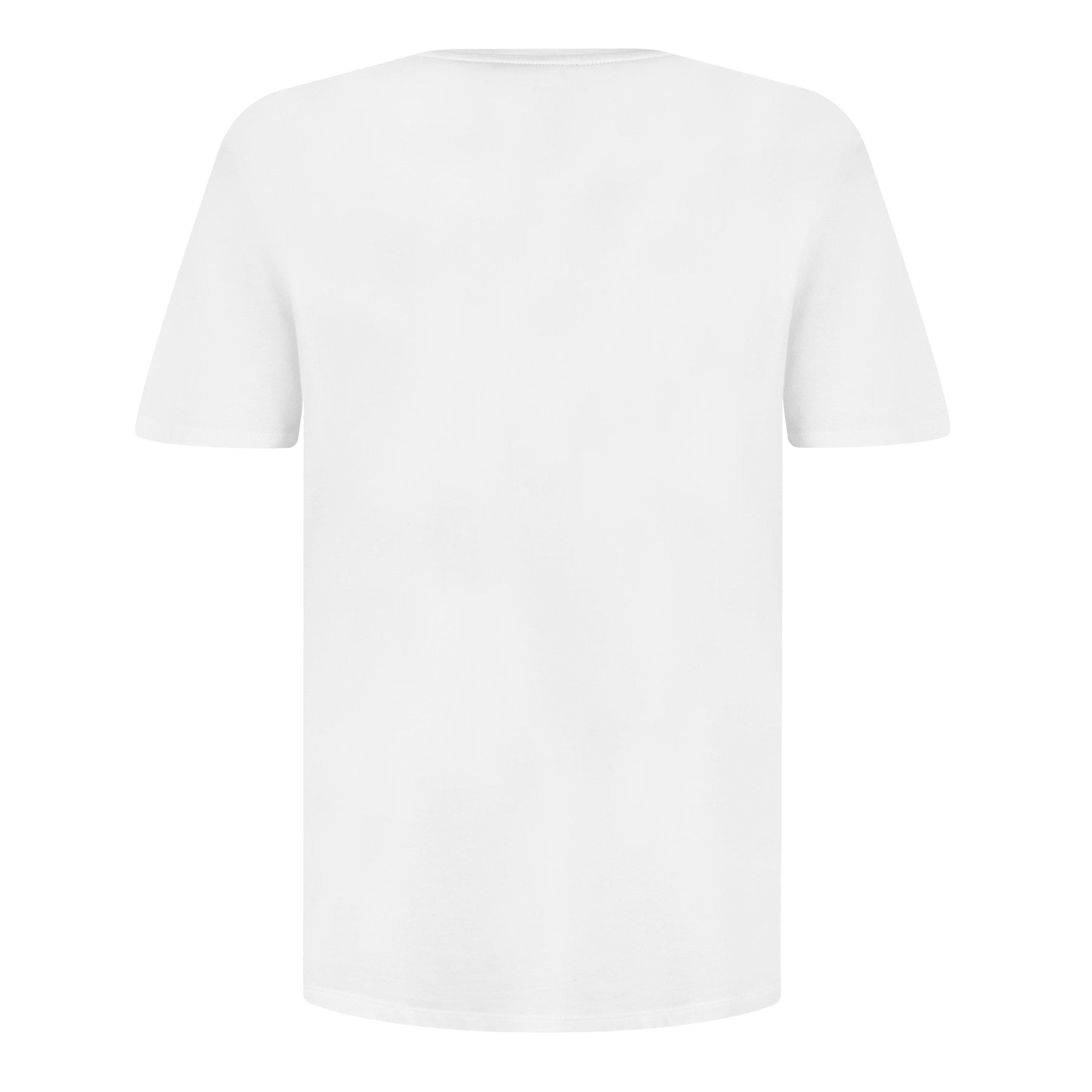 Men's Regular Fit Mix & Match T-Shirt