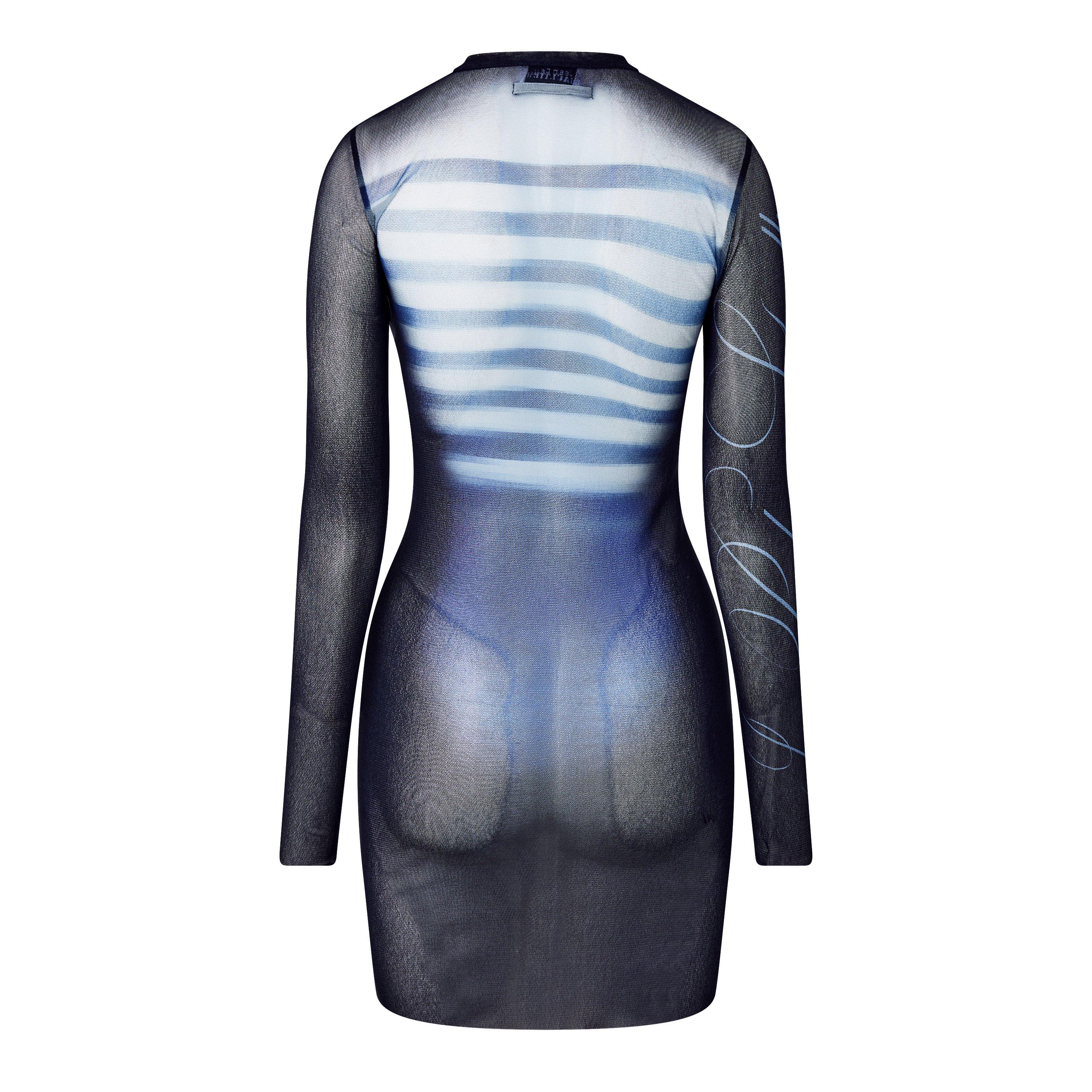 Long Sleeve Mesh Mini Dress