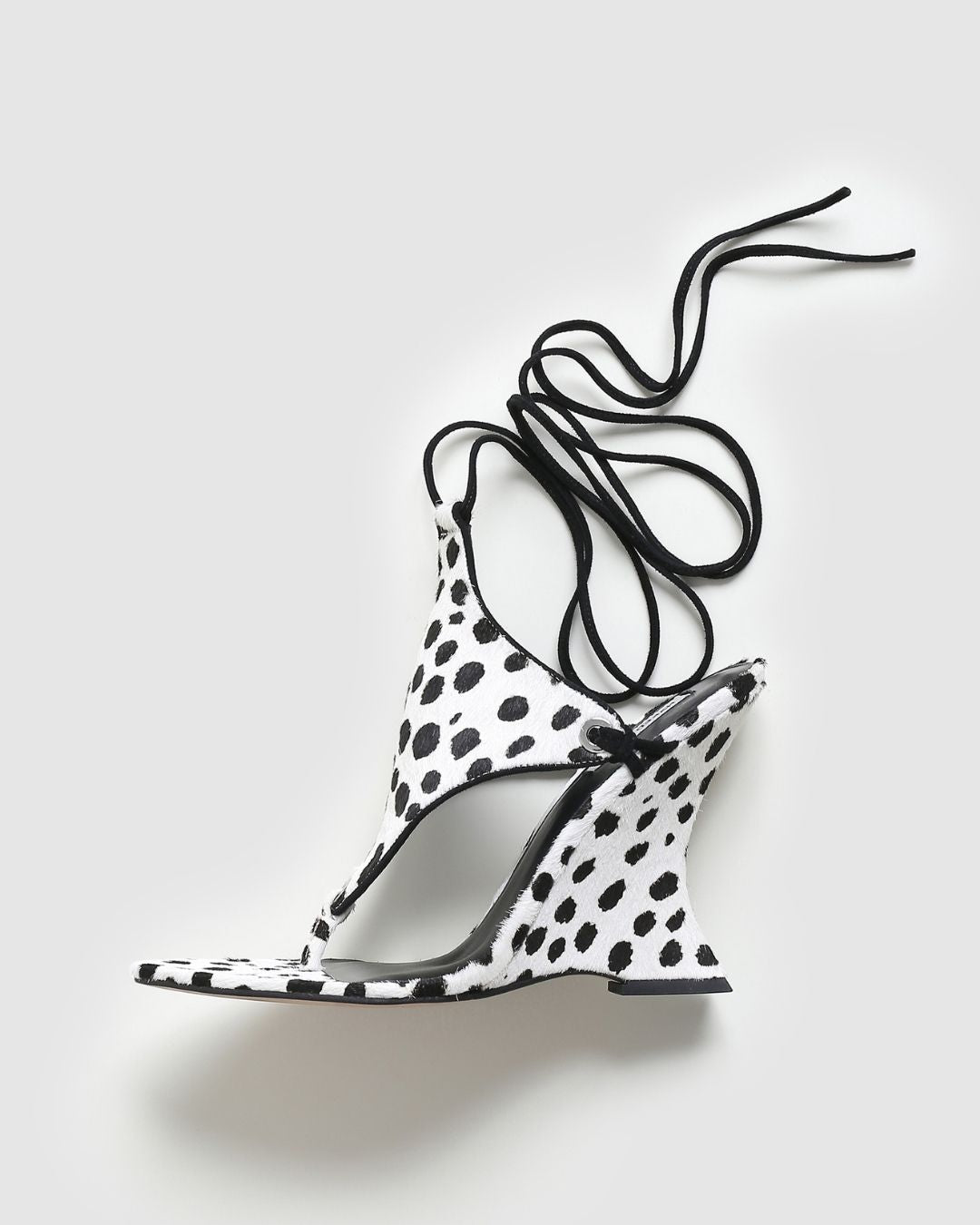 Rampage Dalmation Pony