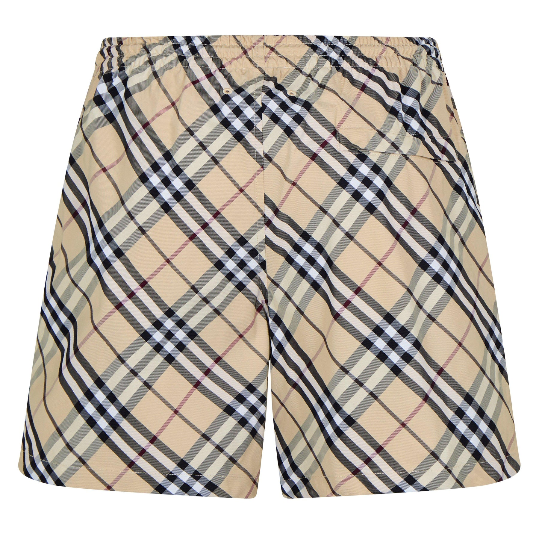 Check Swim Shorts