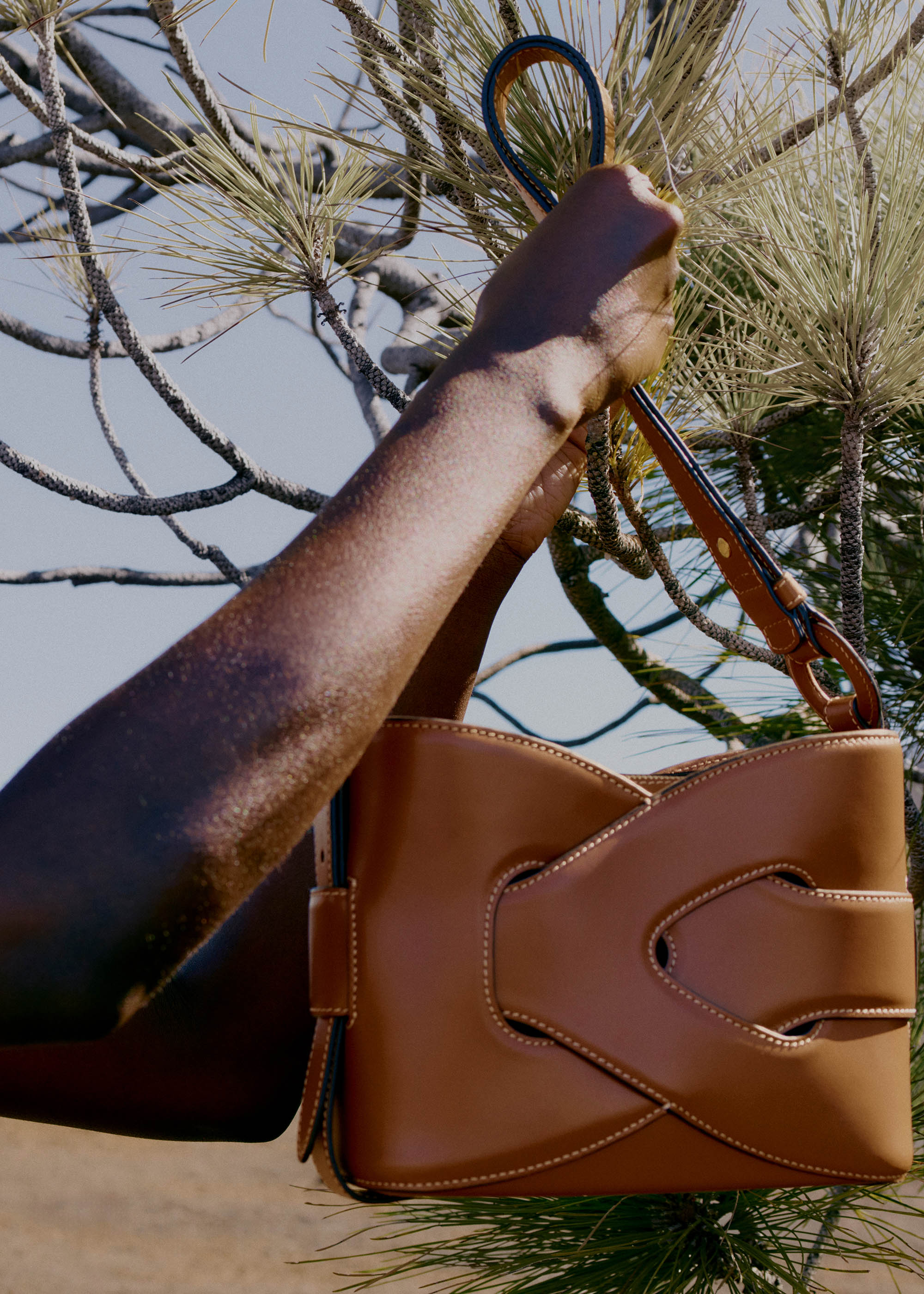 Nodde - Smooth Cognac