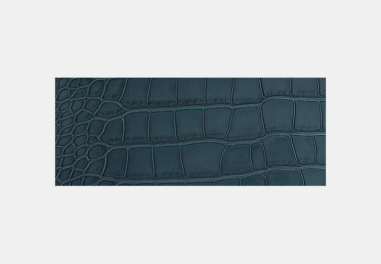 Rogue Bag In Alligator