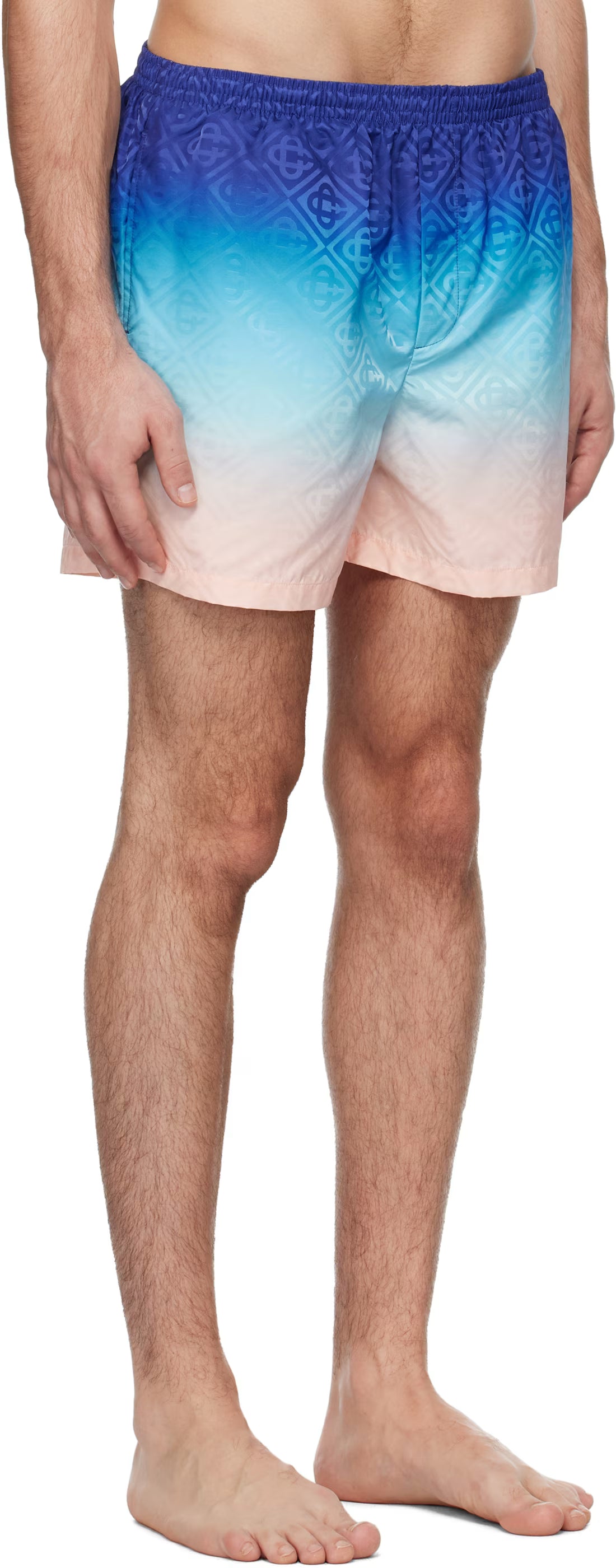 Multicolor Printed Swim Shorts