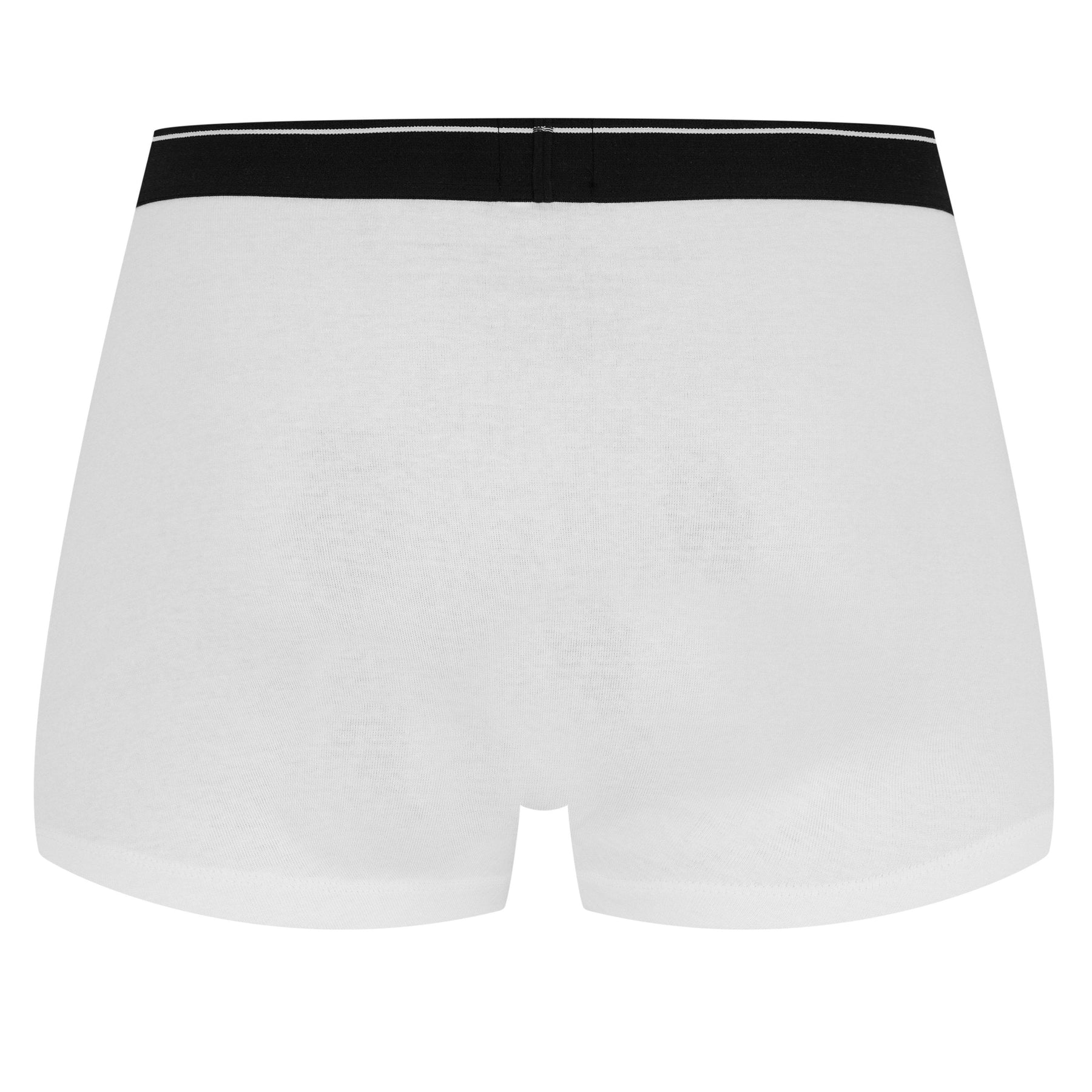 2 Pack Logo Waistband Trunks