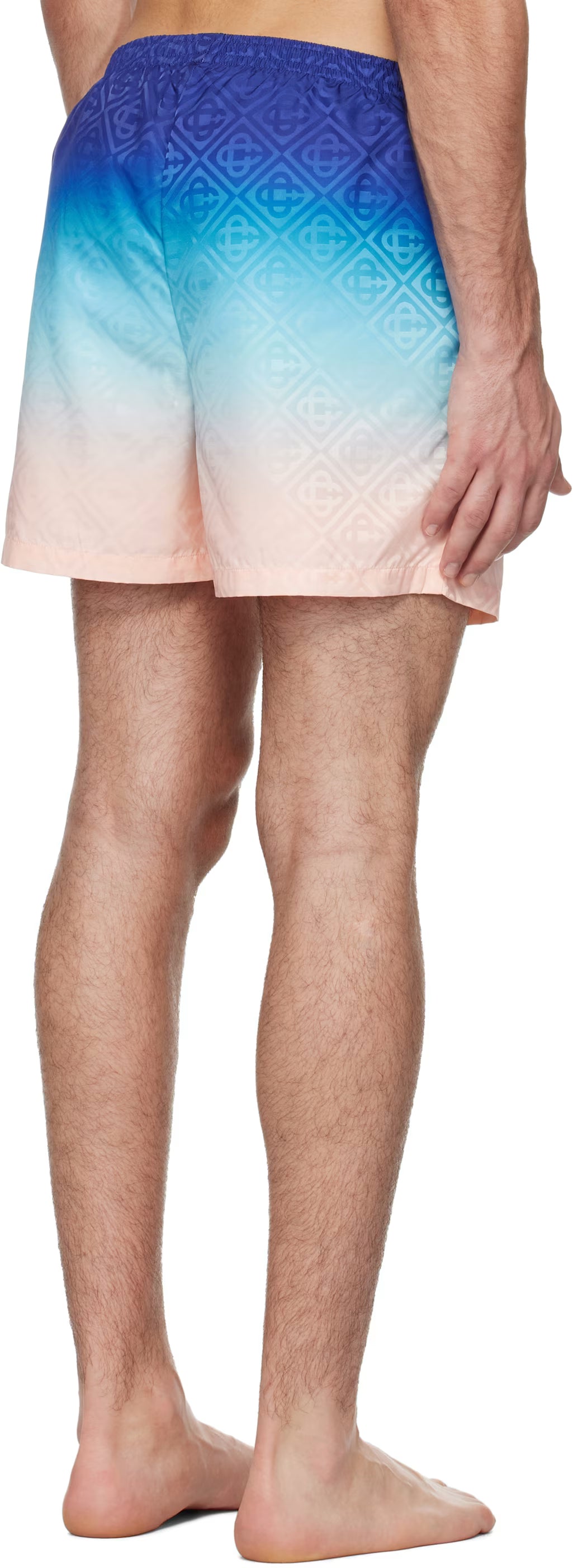Multicolor Printed Swim Shorts