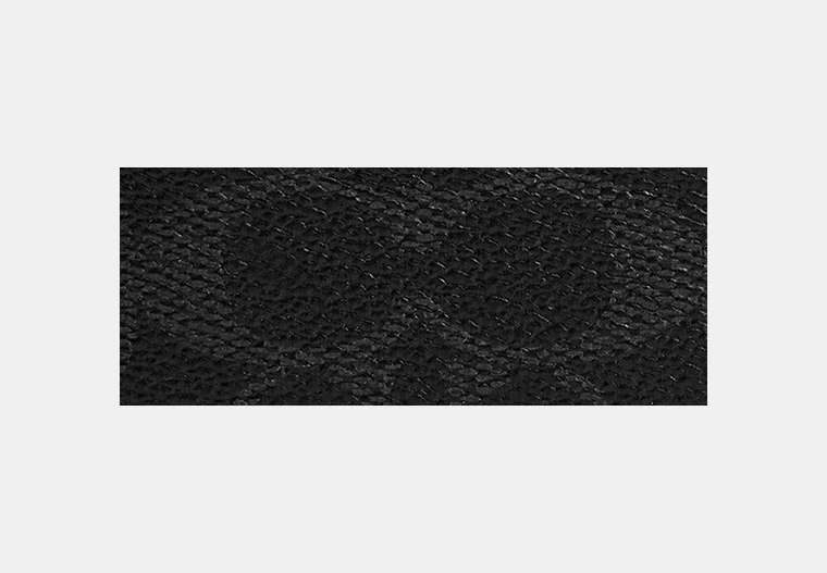 Coin Wallet In Signature Canvas