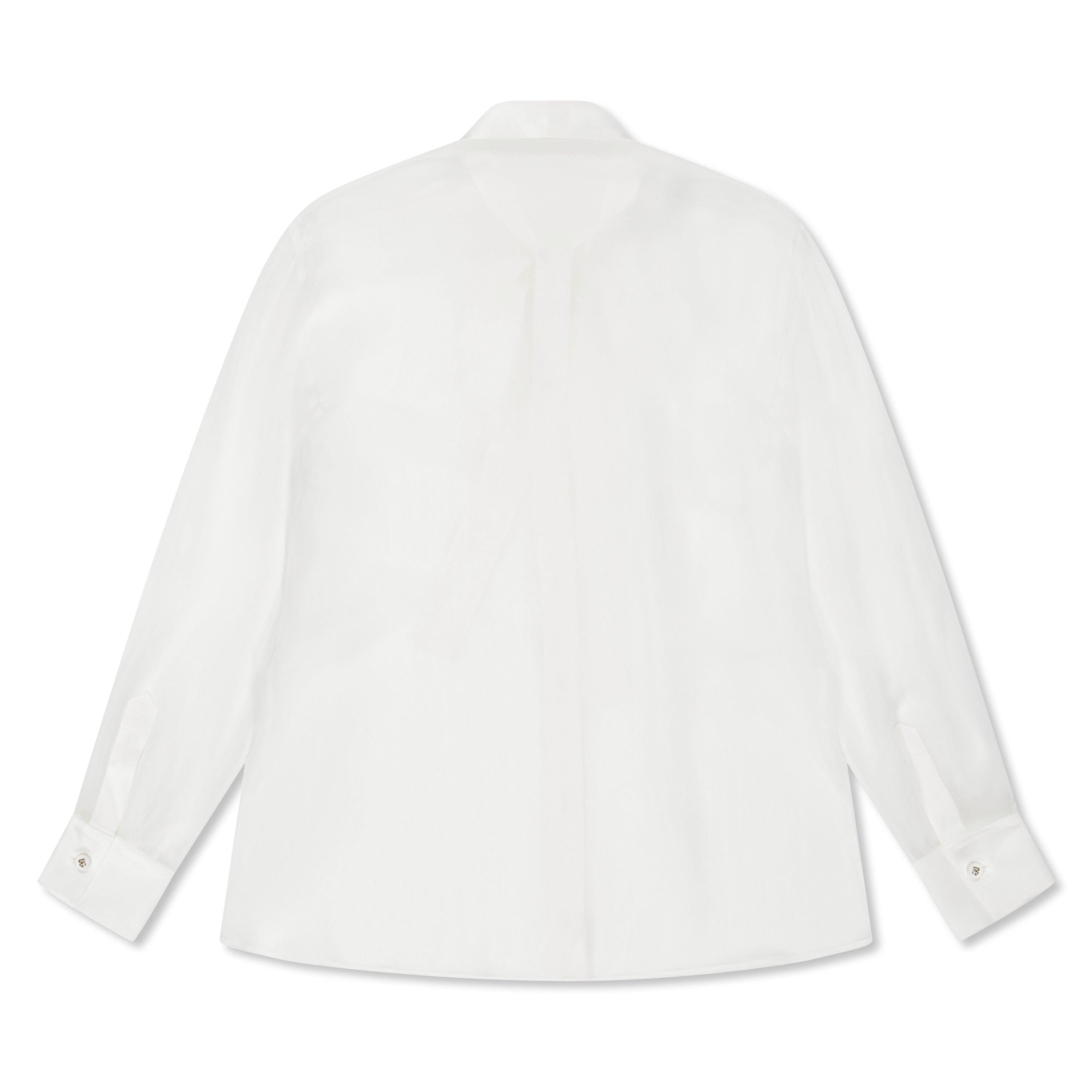 Sheer Bow Blouse