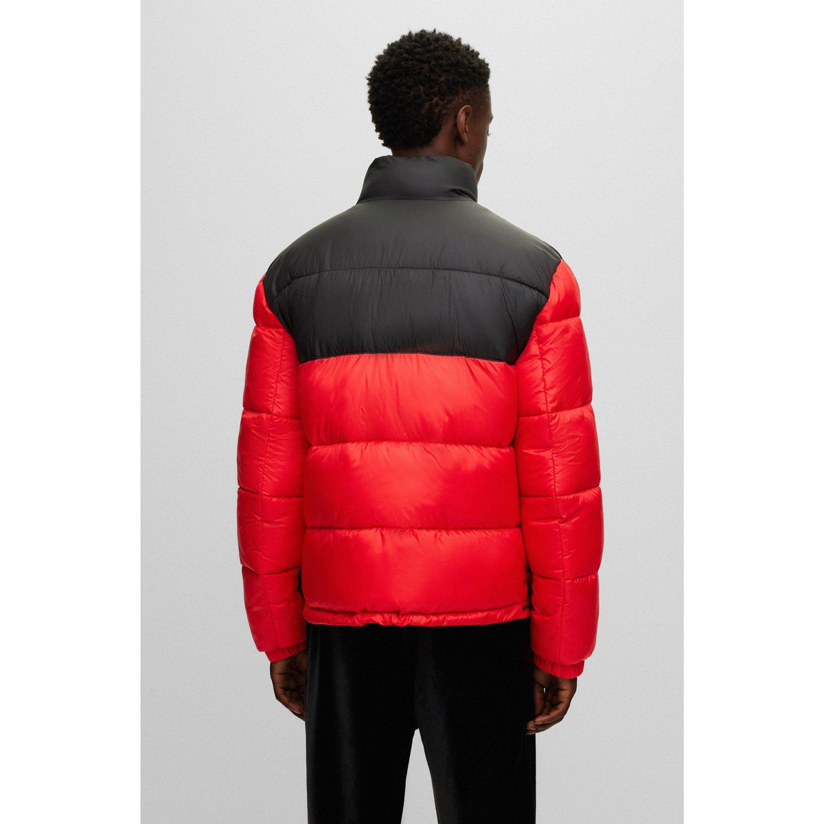 Balto2341 10251364 01