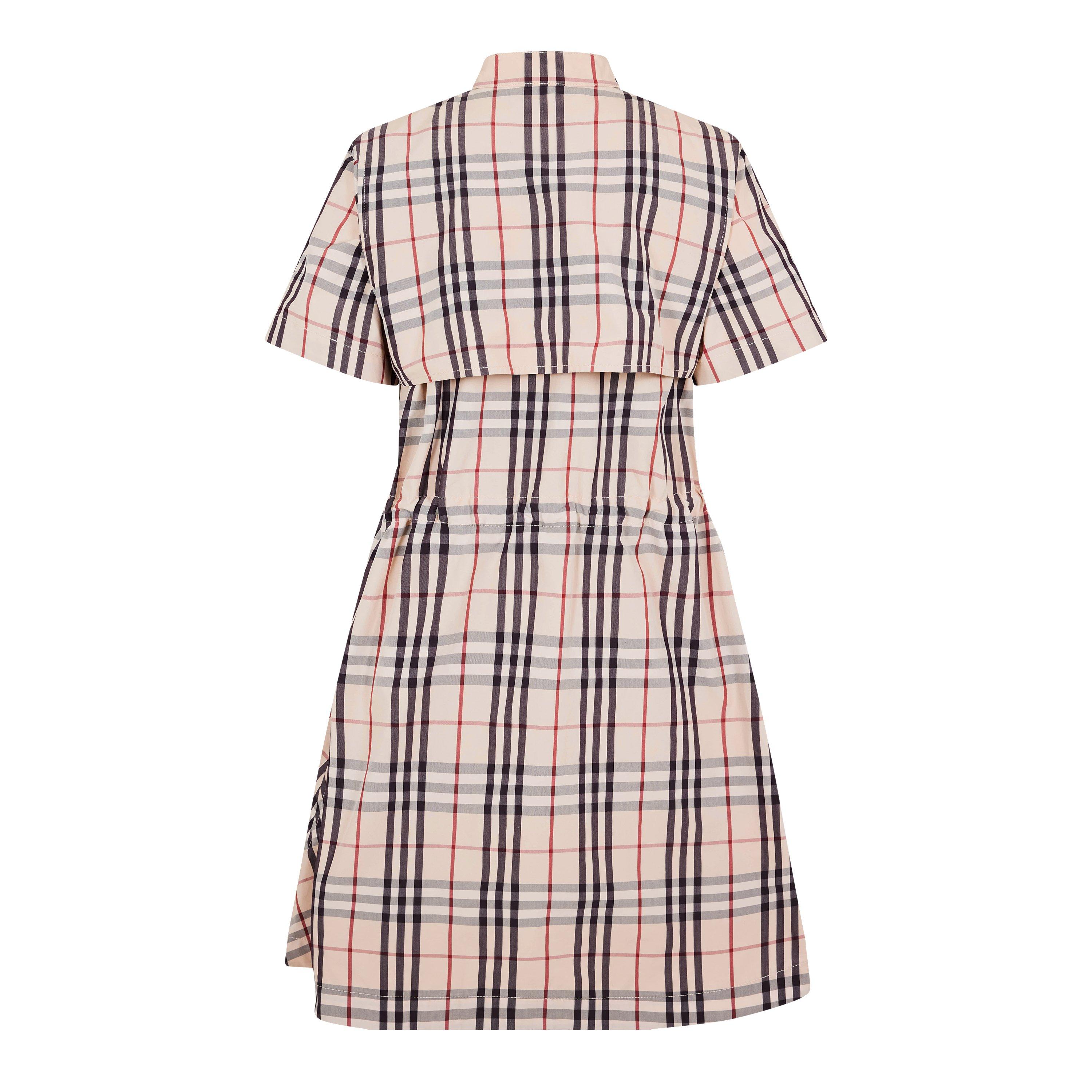 Shirt Dress