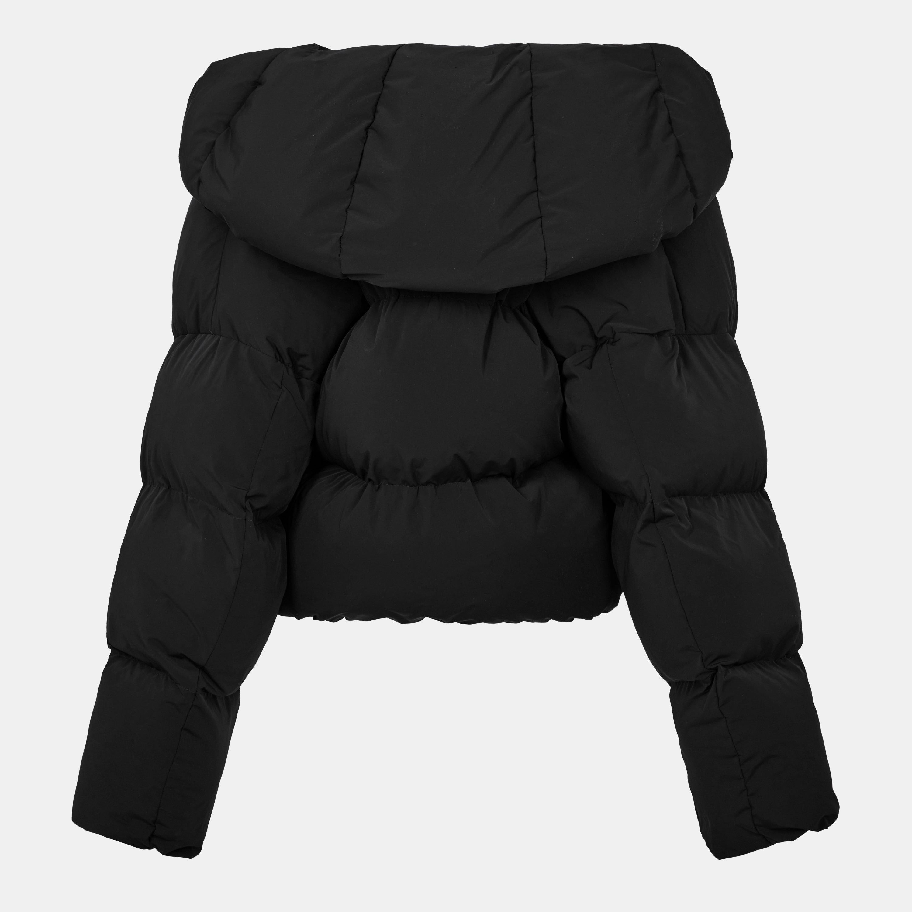 W-Iley-T1 Hooded Long Sleeve Short Puffer Jacket