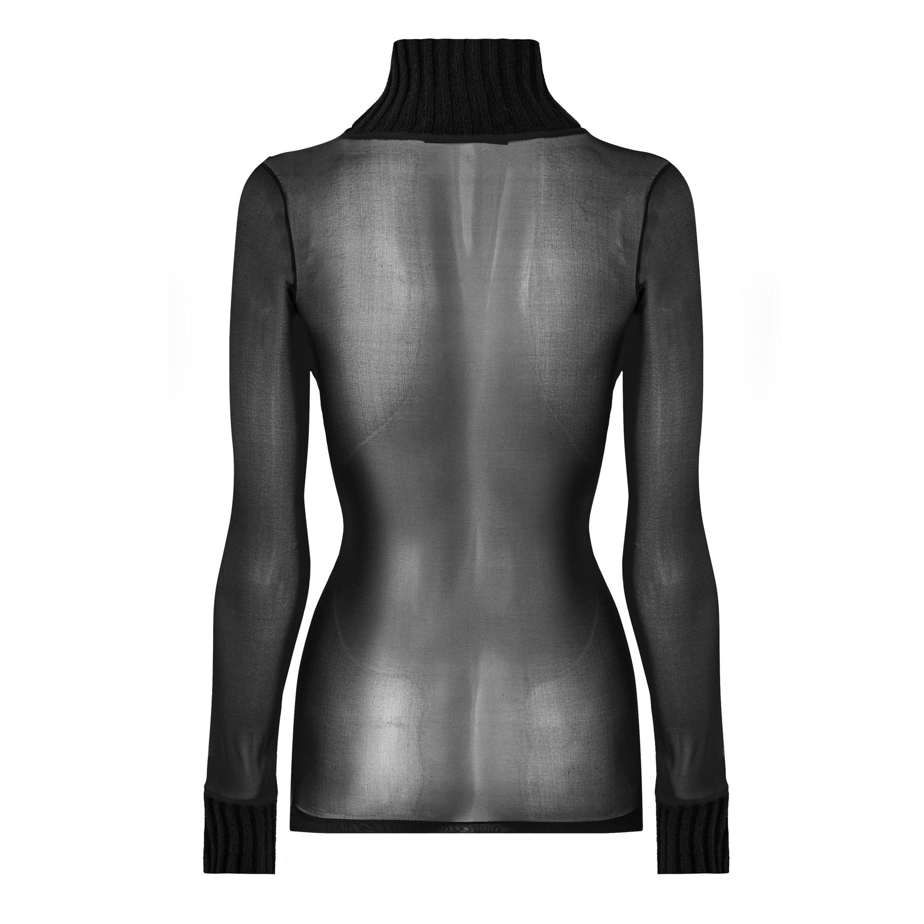 Sheer Turtleneck Top