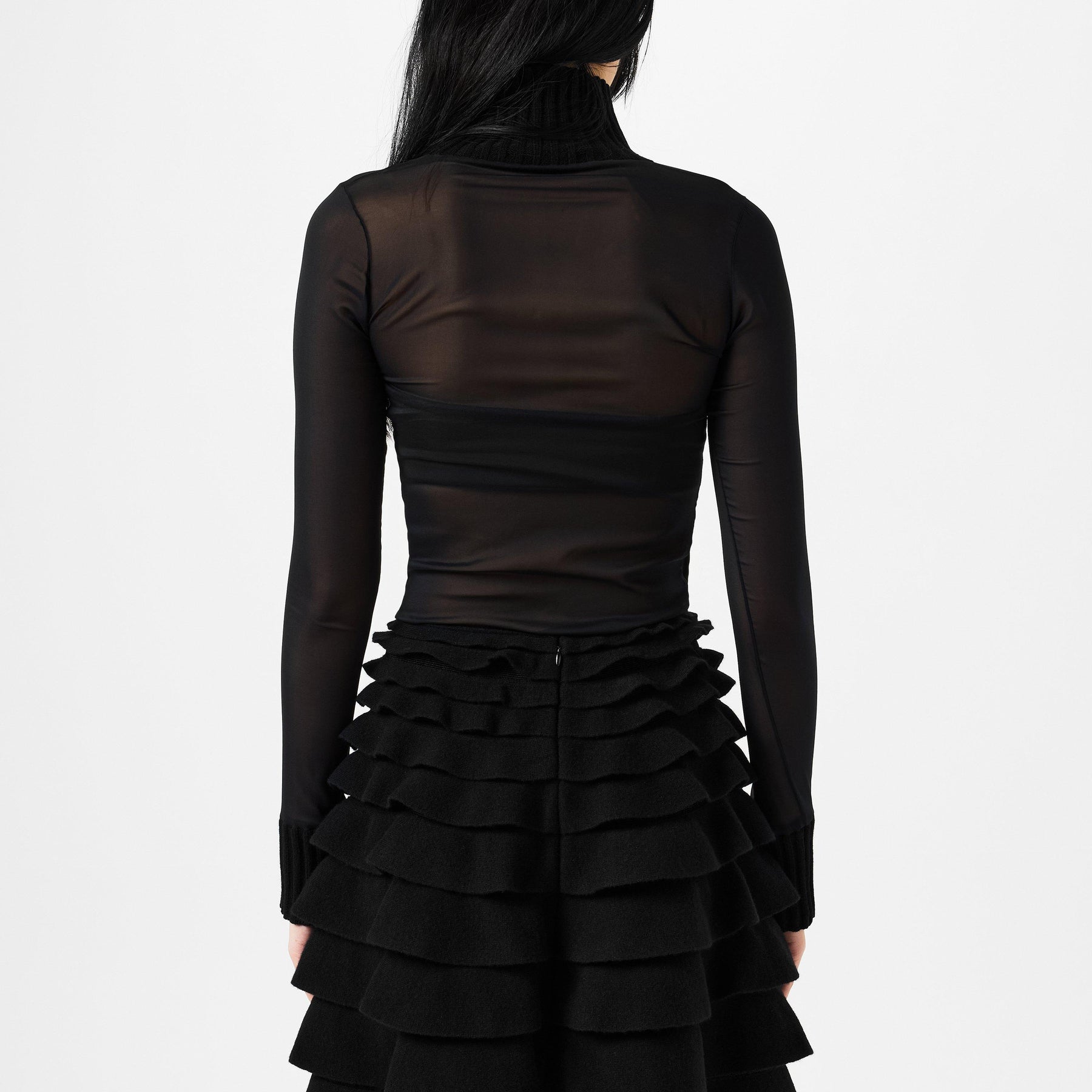 Sheer Turtleneck Top
