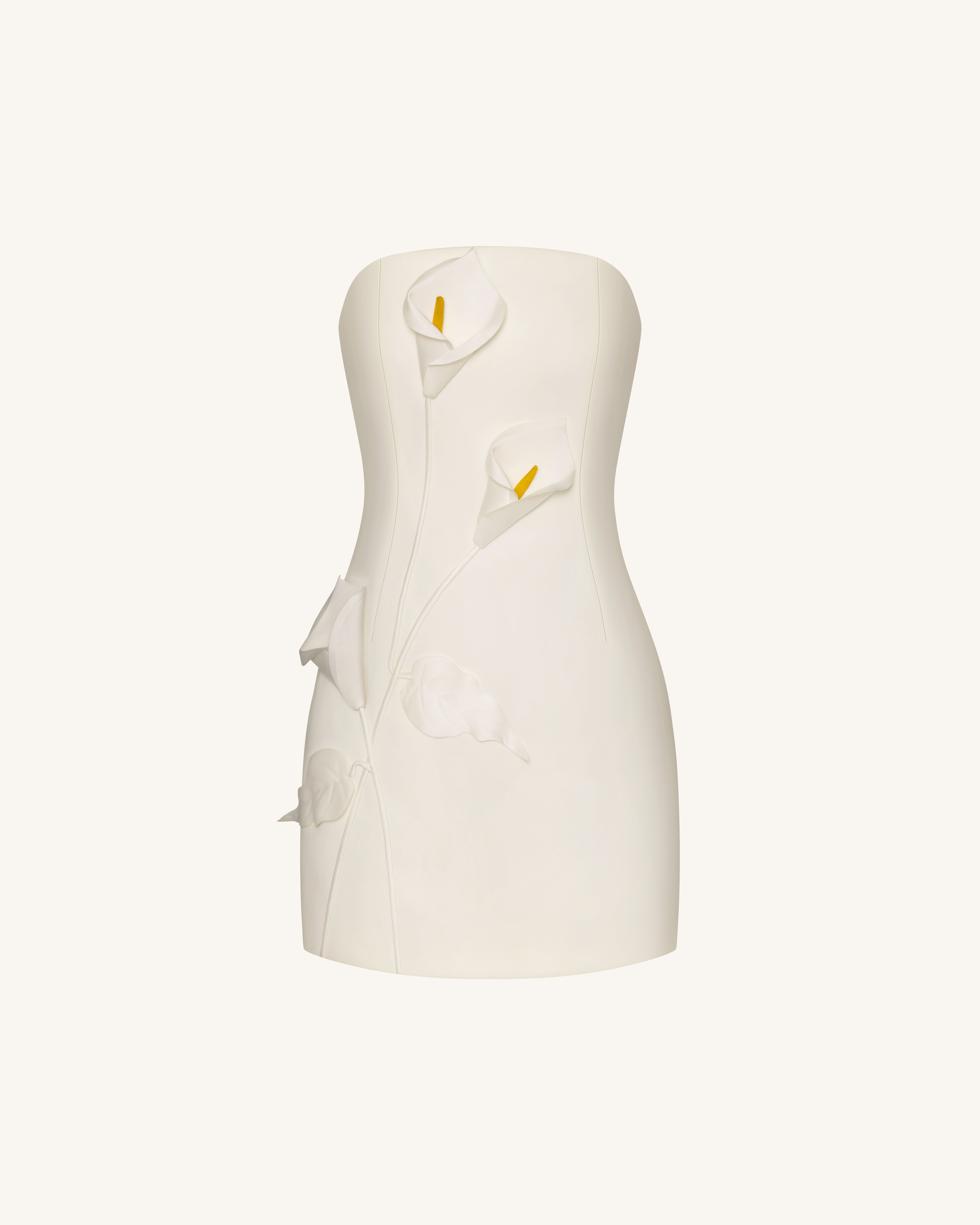 Strapless Floral Appliqué Dress - White