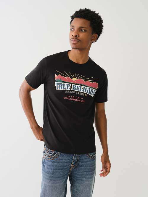 METALLIC LANDSCAPE ARCHED LOGO TEE