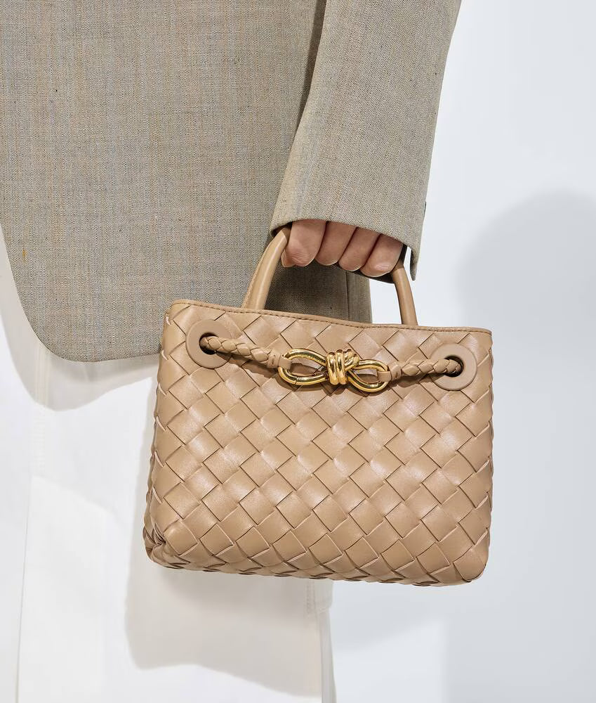 Bottega Veneta Mini Andiamo