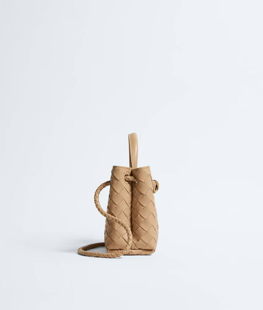 Bottega Veneta Mini Andiamo