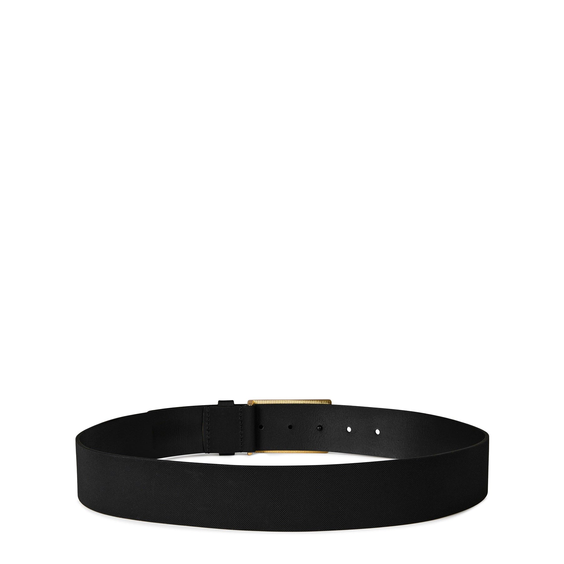 Icon Belt