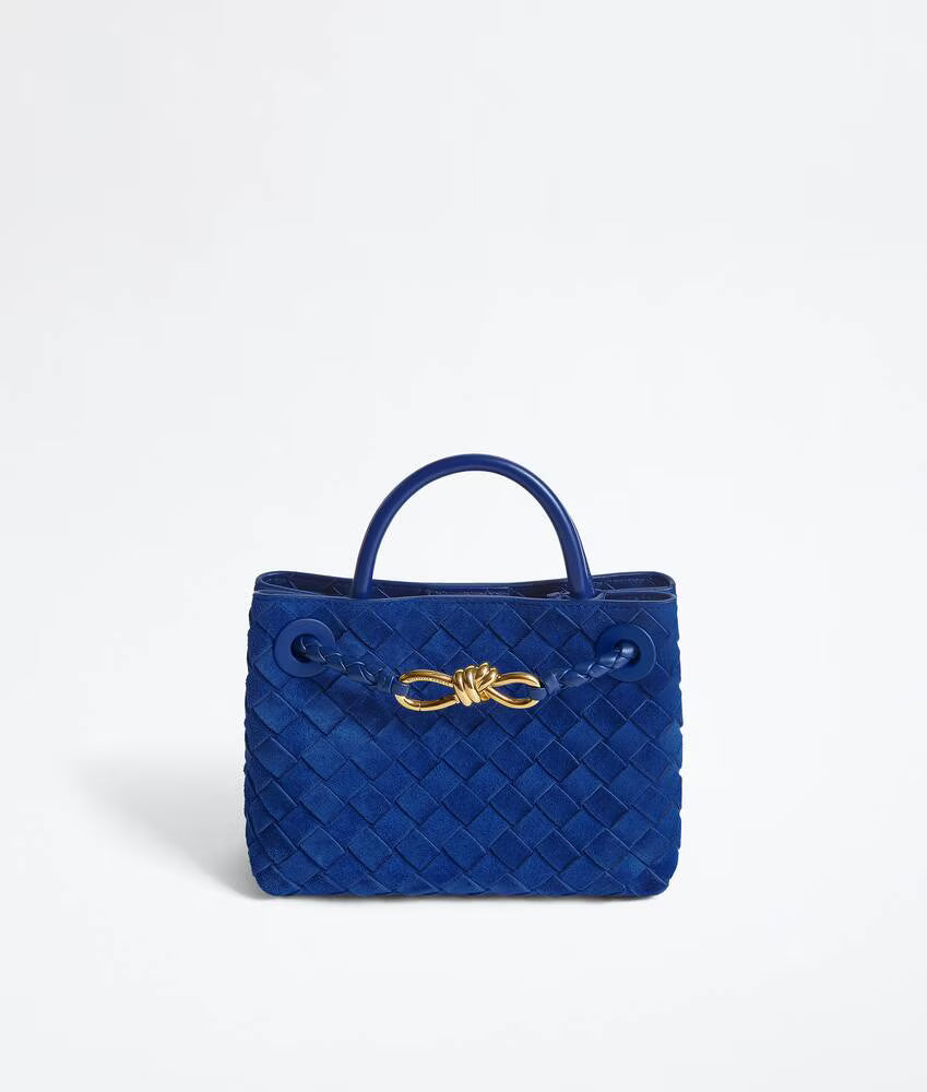 Bottega Veneta Mini Andiamo