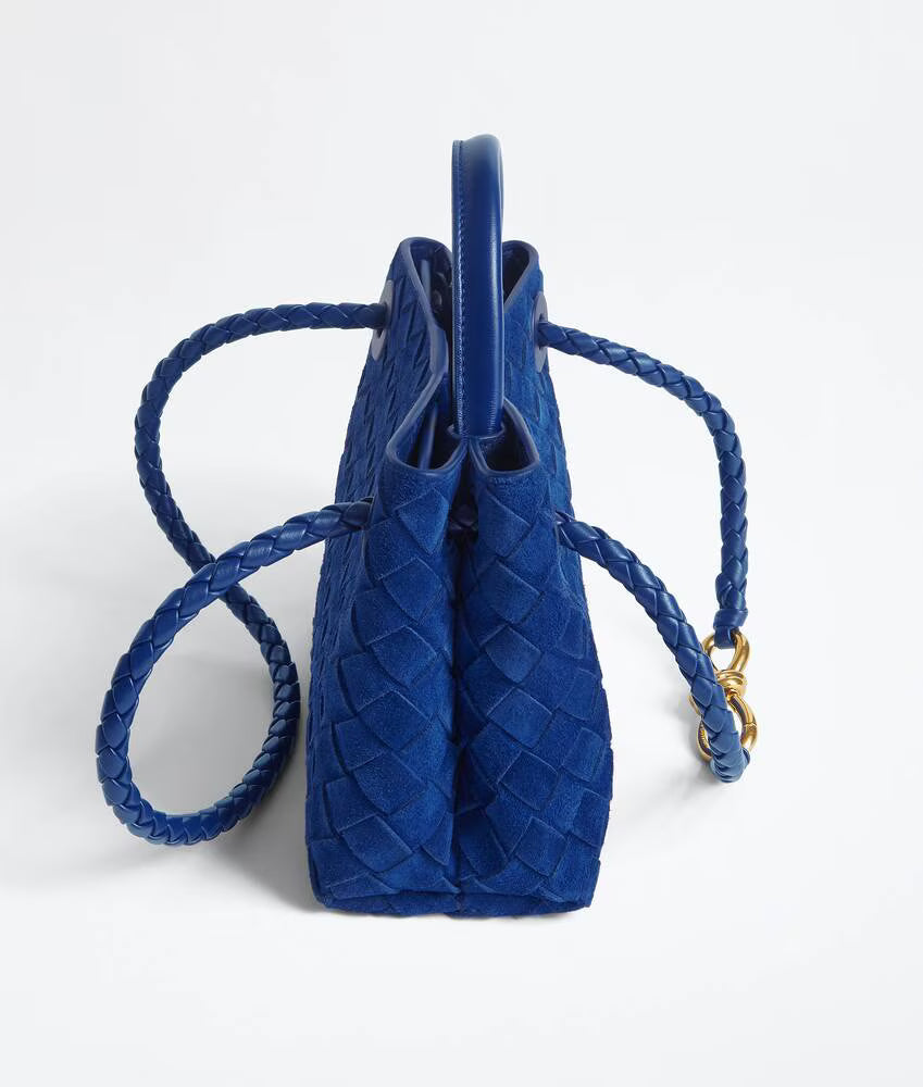 Bottega Veneta Mini Andiamo