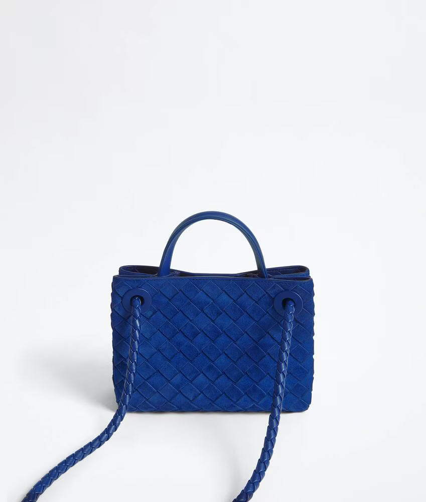 Bottega Veneta Mini Andiamo