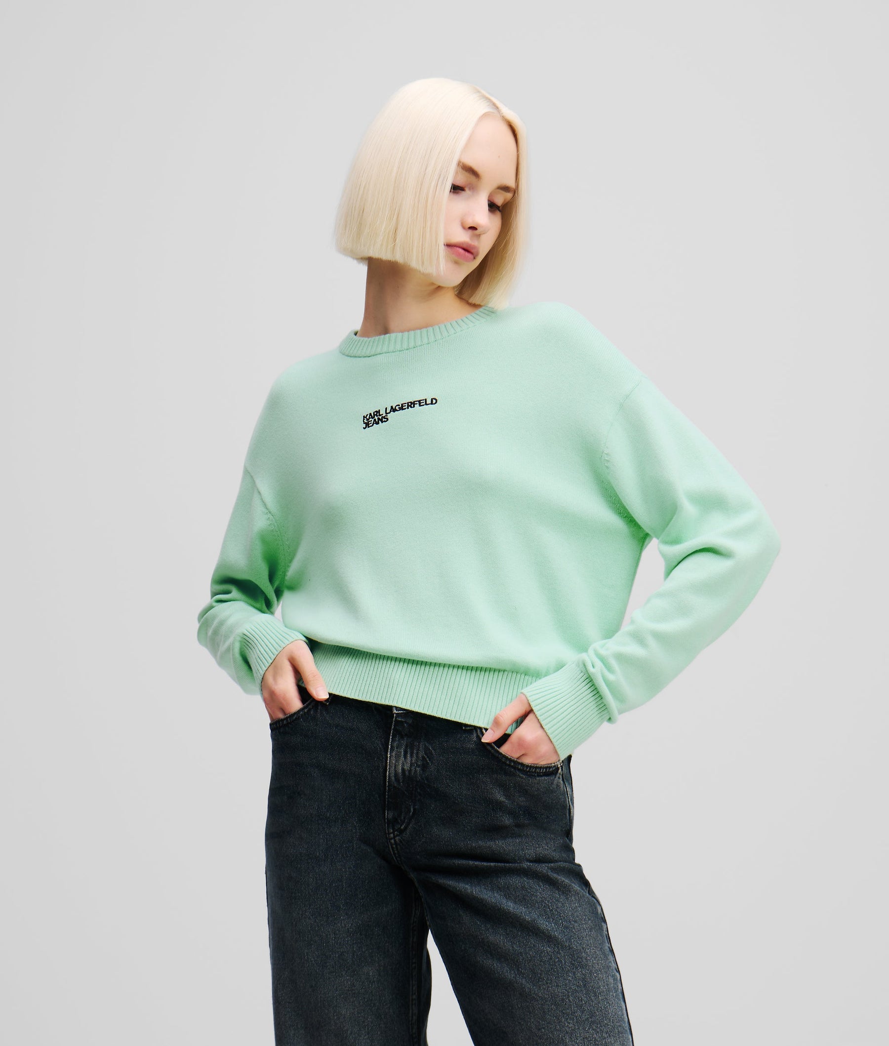 REGULAR-FIT JUMPER
