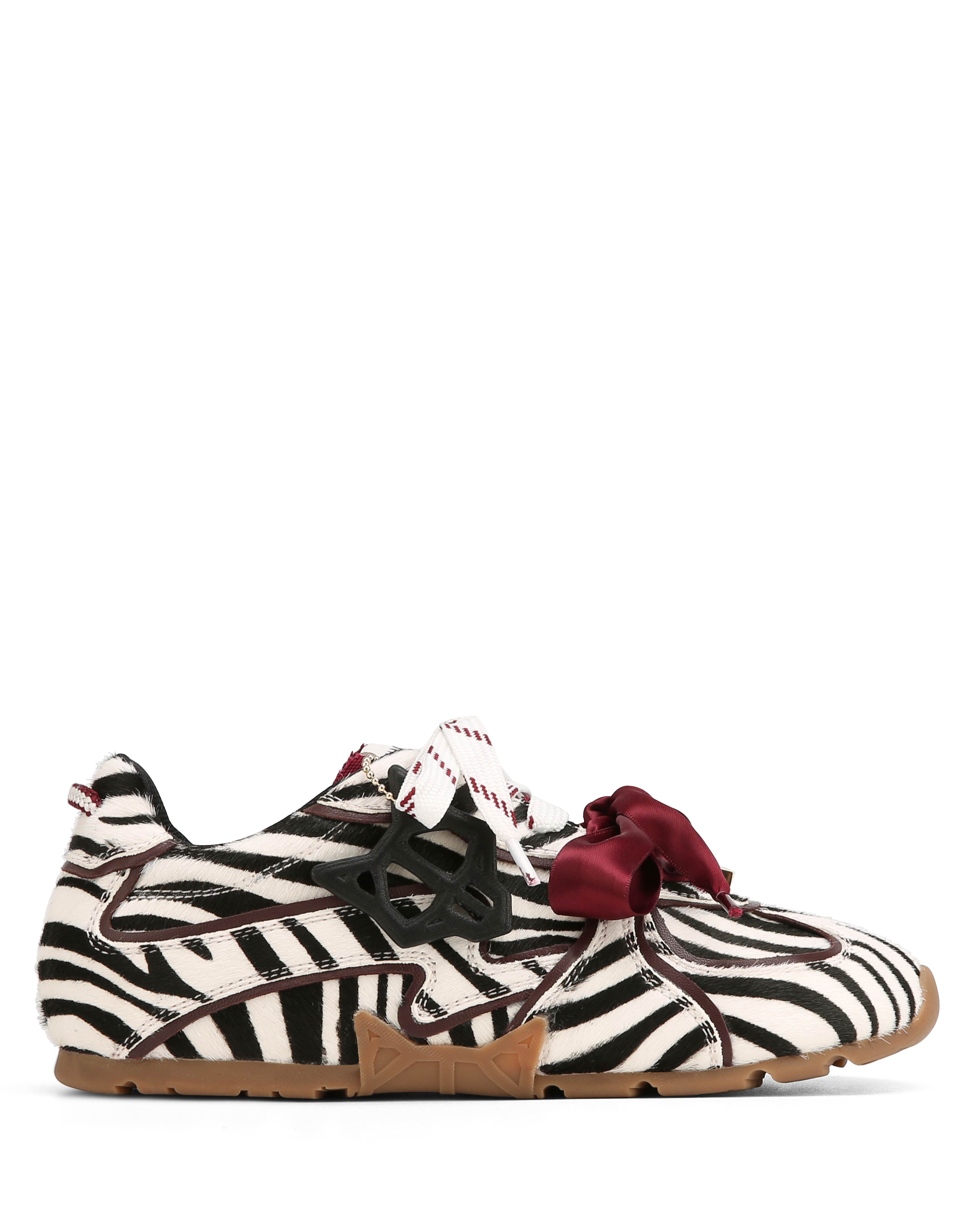 Adored Zebra Pony