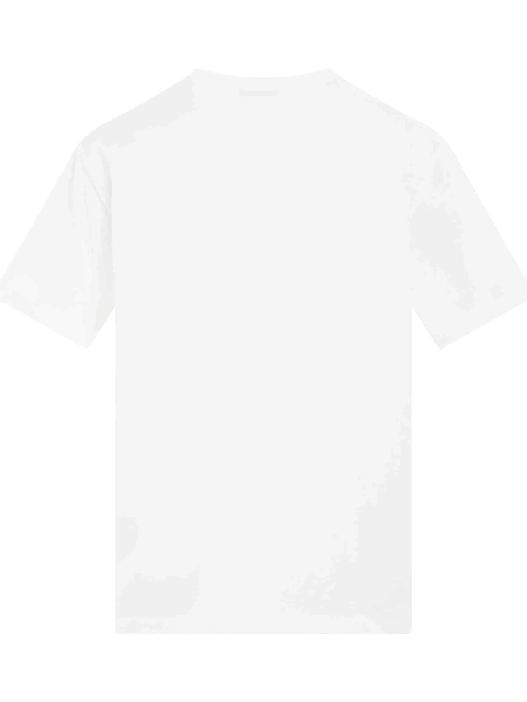 Coin Flock Straight Fit T-Shirt in White/Black