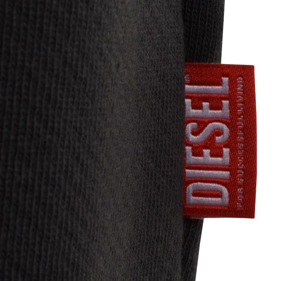 Diesel S Norman Hoodie Grey