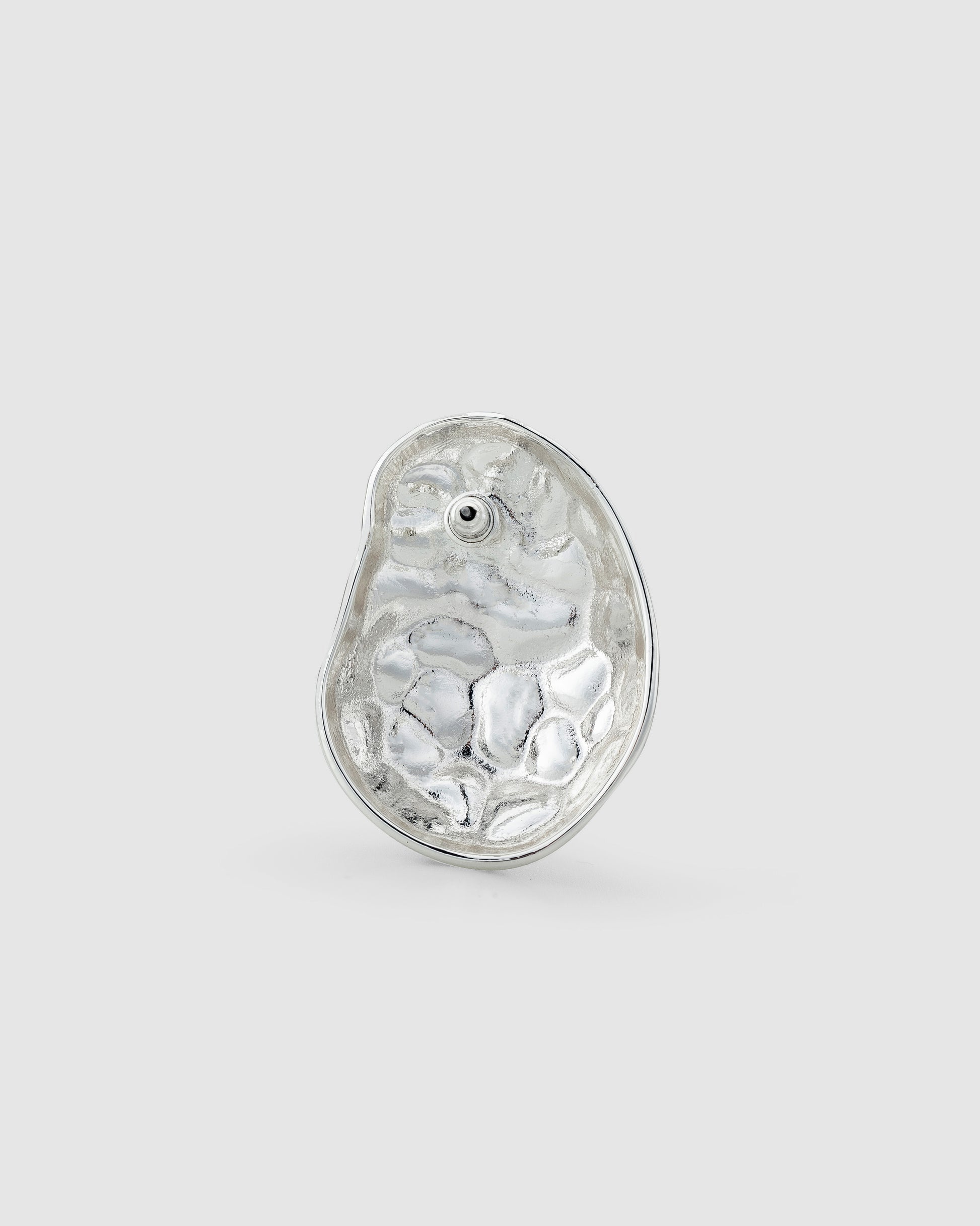 Evanna Earrings Silver