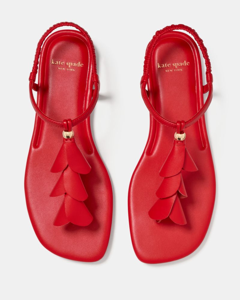 Lily Thong Sandal