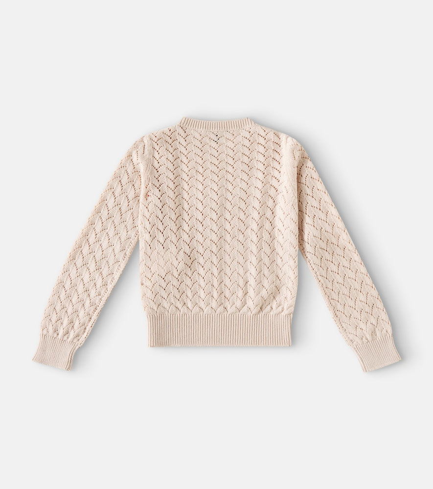 Cotton and cashmere sweater