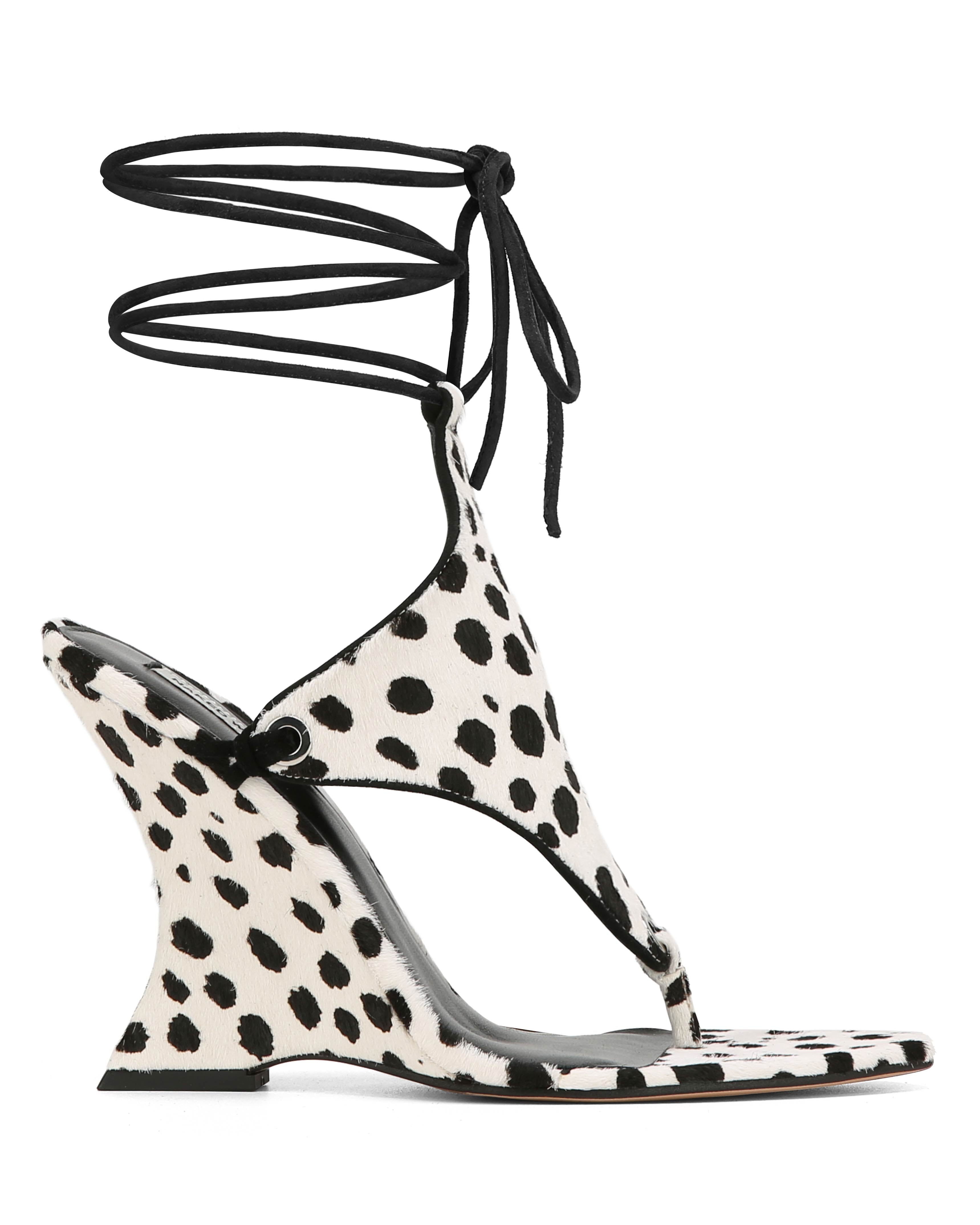 Rampage Dalmation Pony