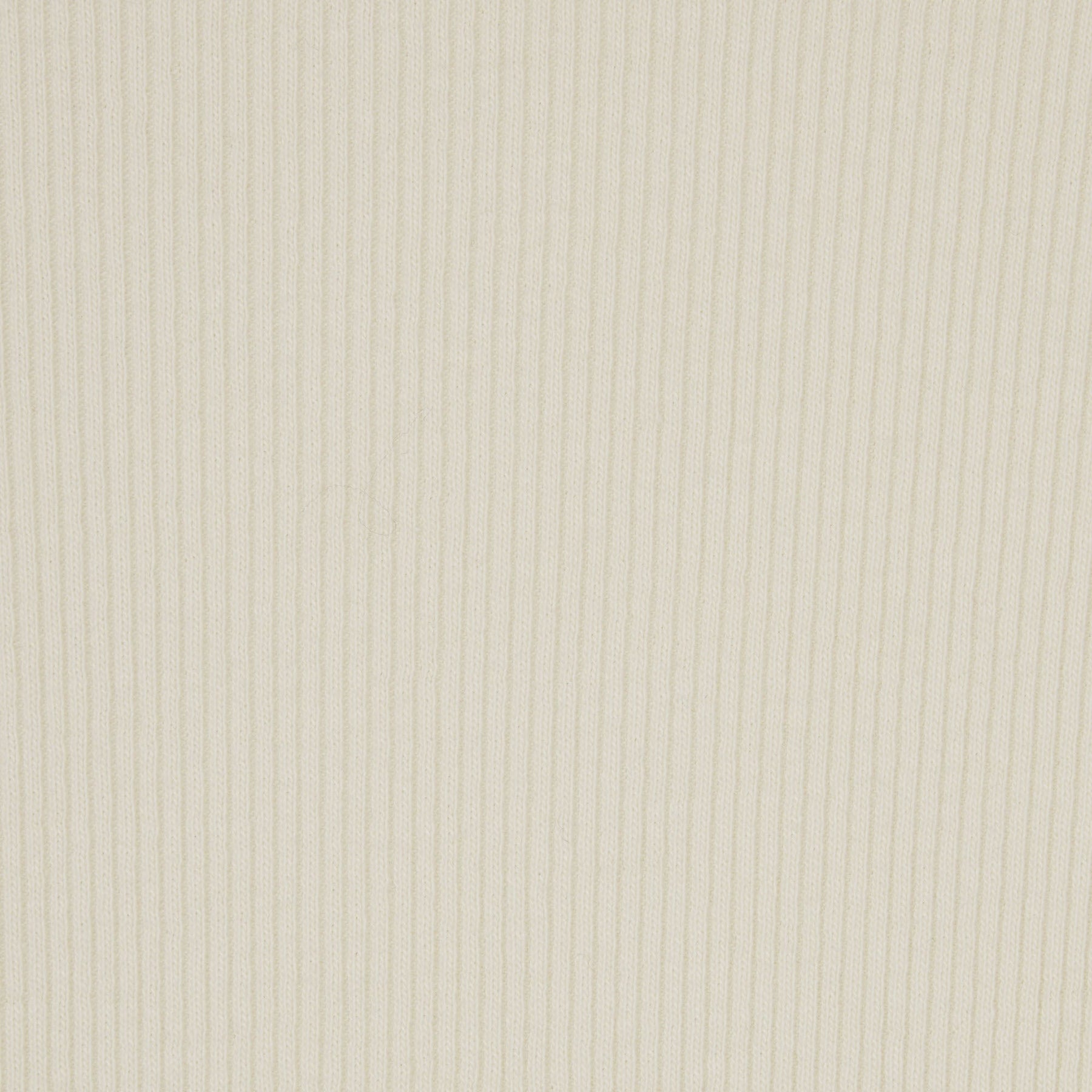 COTTON RIB THONG | BONE